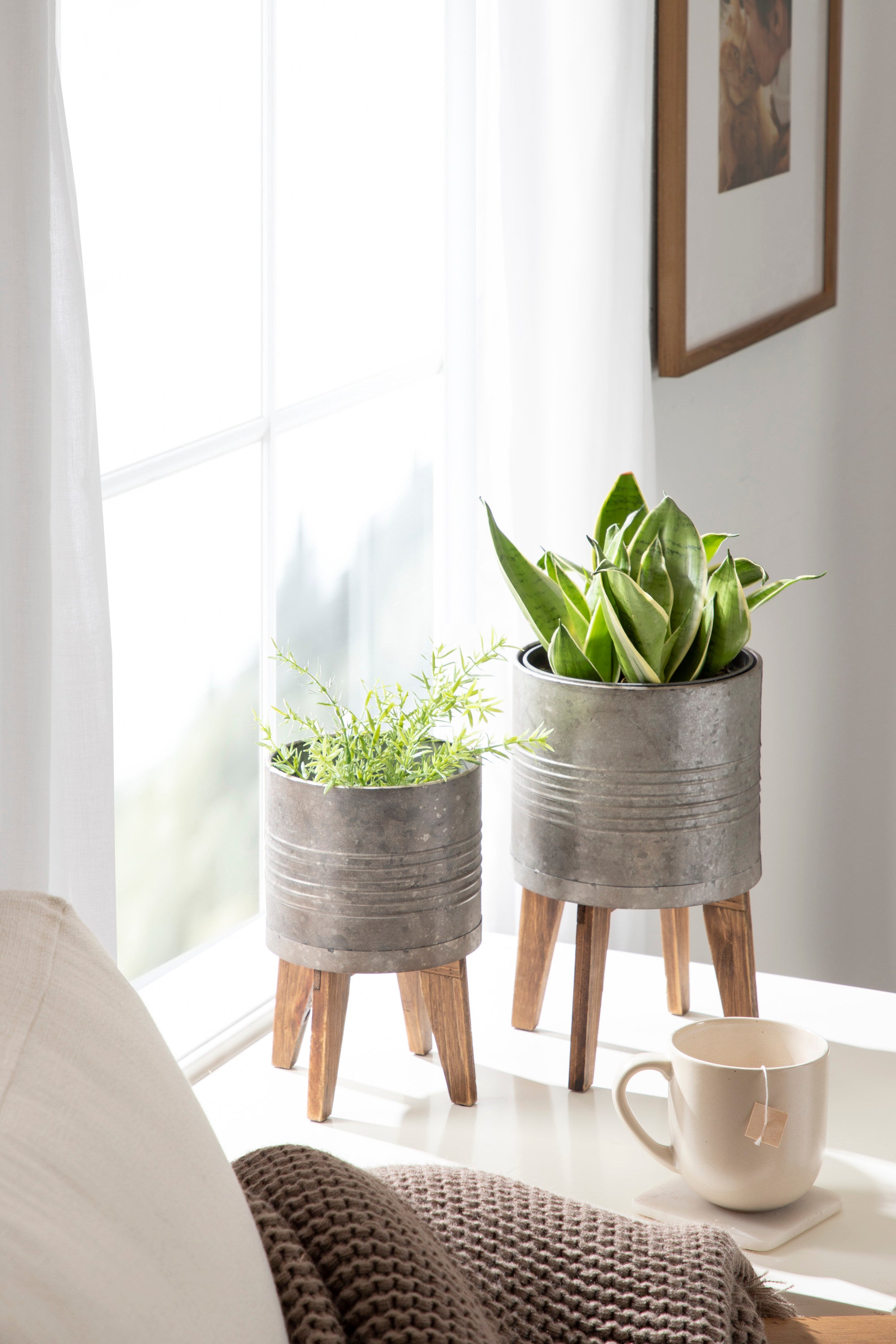 Gavri Tabletop Planter Set