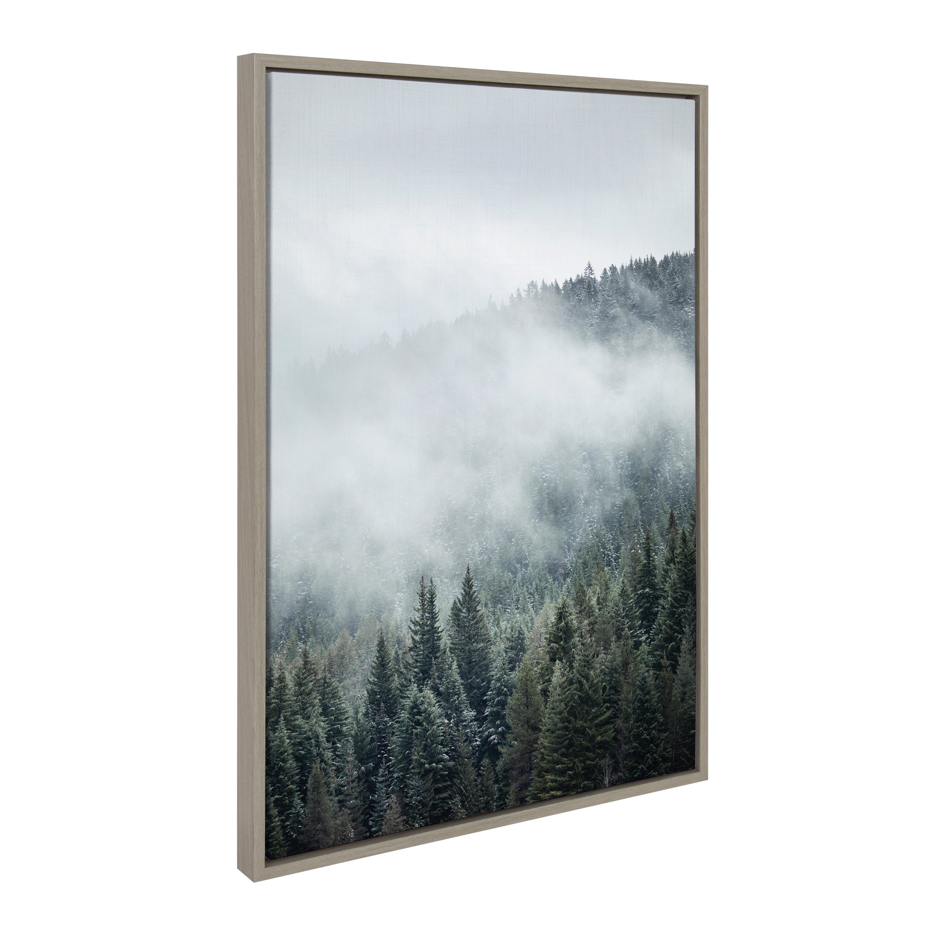 Sylvie Evergreens In Fog Framed Canvas by Emiko and Mark Franzen of F2Images