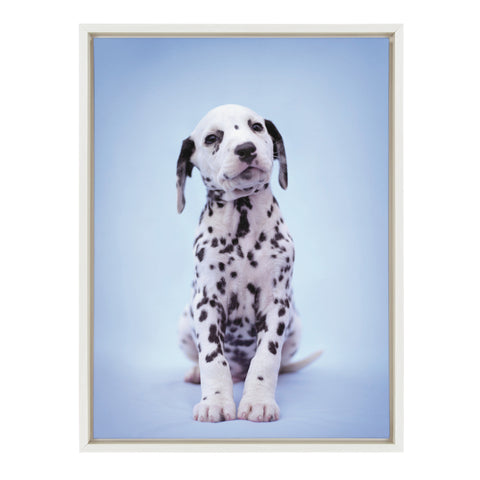 Sylvie Fig Dalmatian Dog Framed Canvas by Rachael Hale