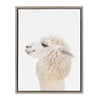 Sylvie Animal Studio Alpaca Profile Framed Canvas by Amy Peterson Art Studio