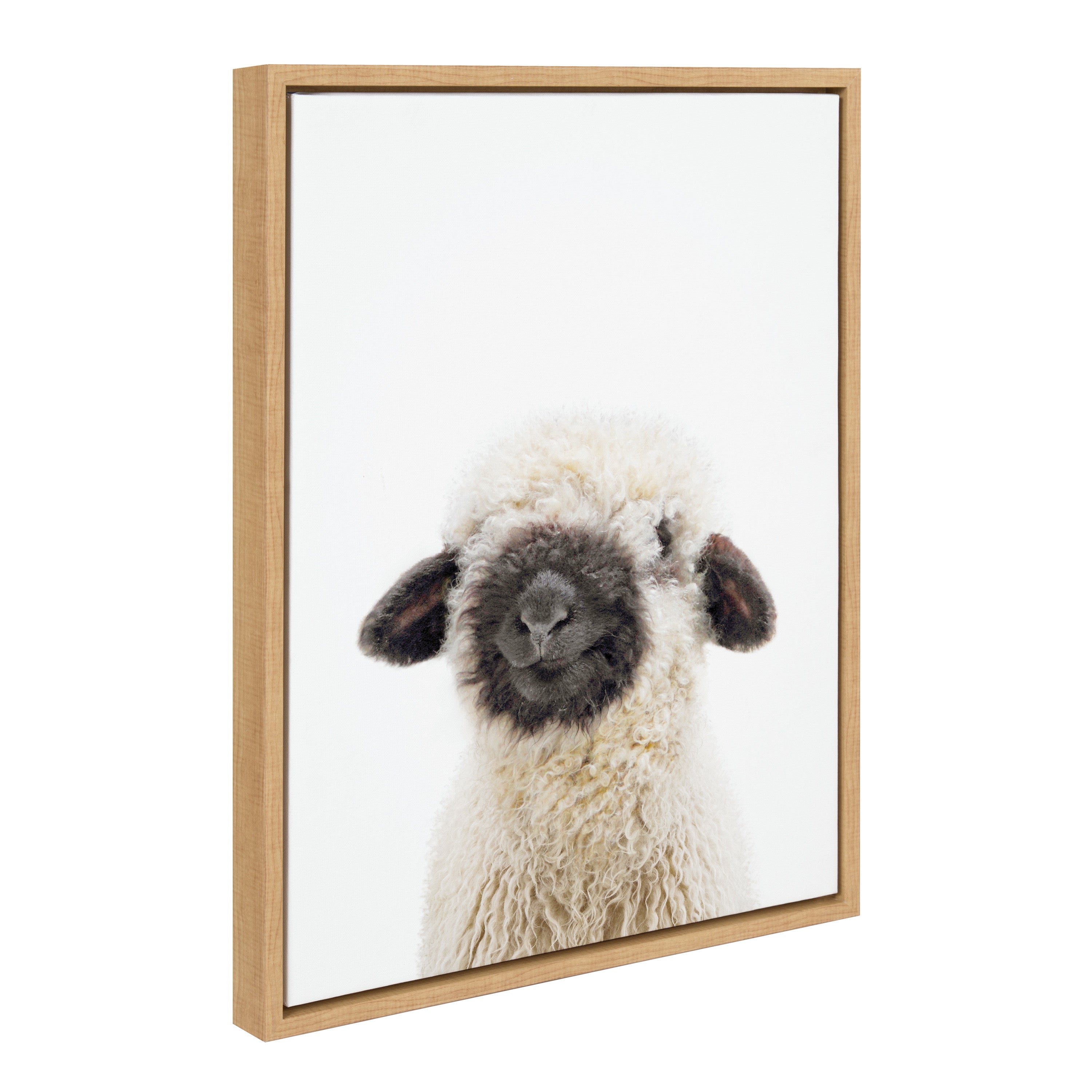 Sylvie Animal Studio Black Nosed Sheep Framed Canvas by Amy Peterson Art Studio