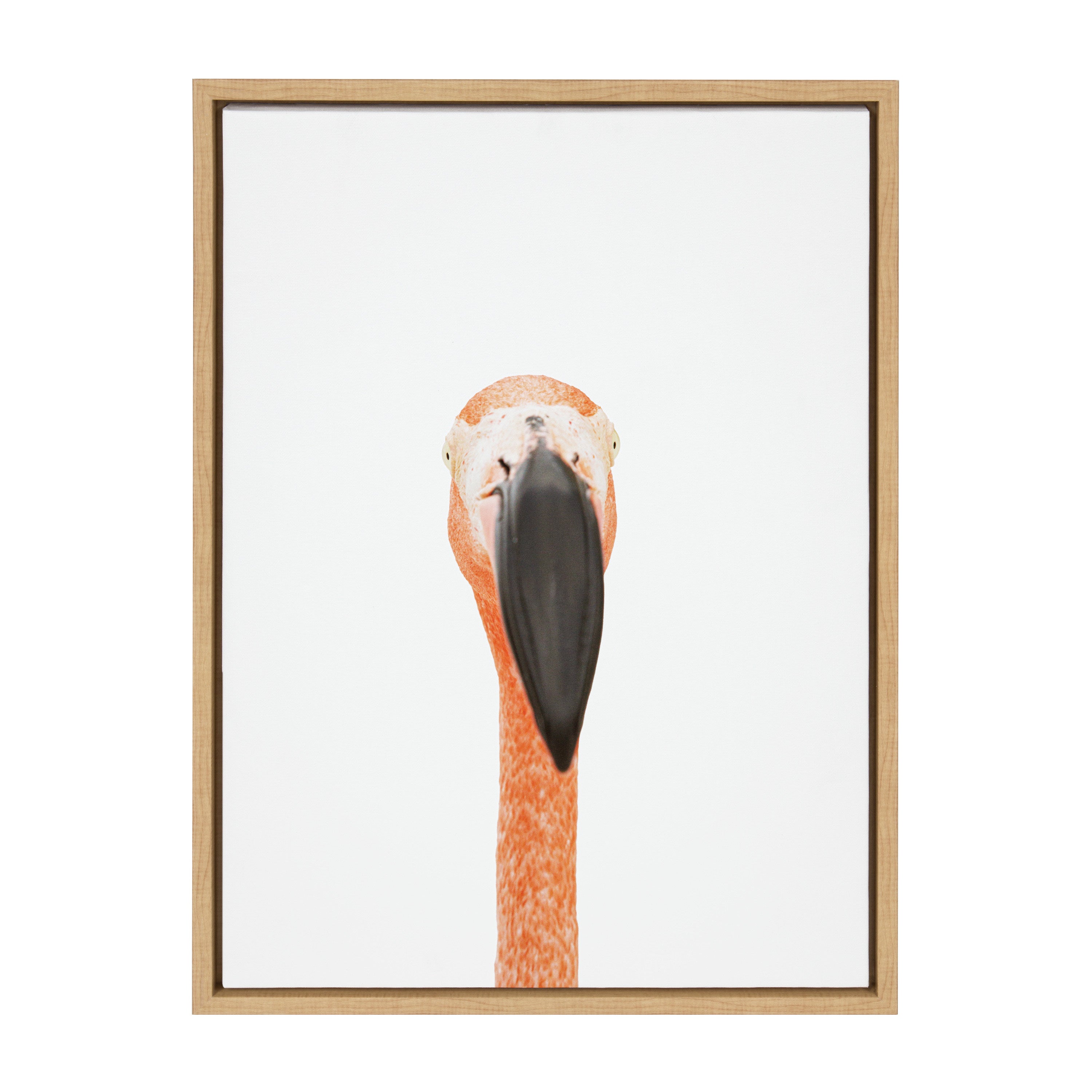 Sylvie Flamingo Portrait Framed Canvas by Amy Peterson Art Studio