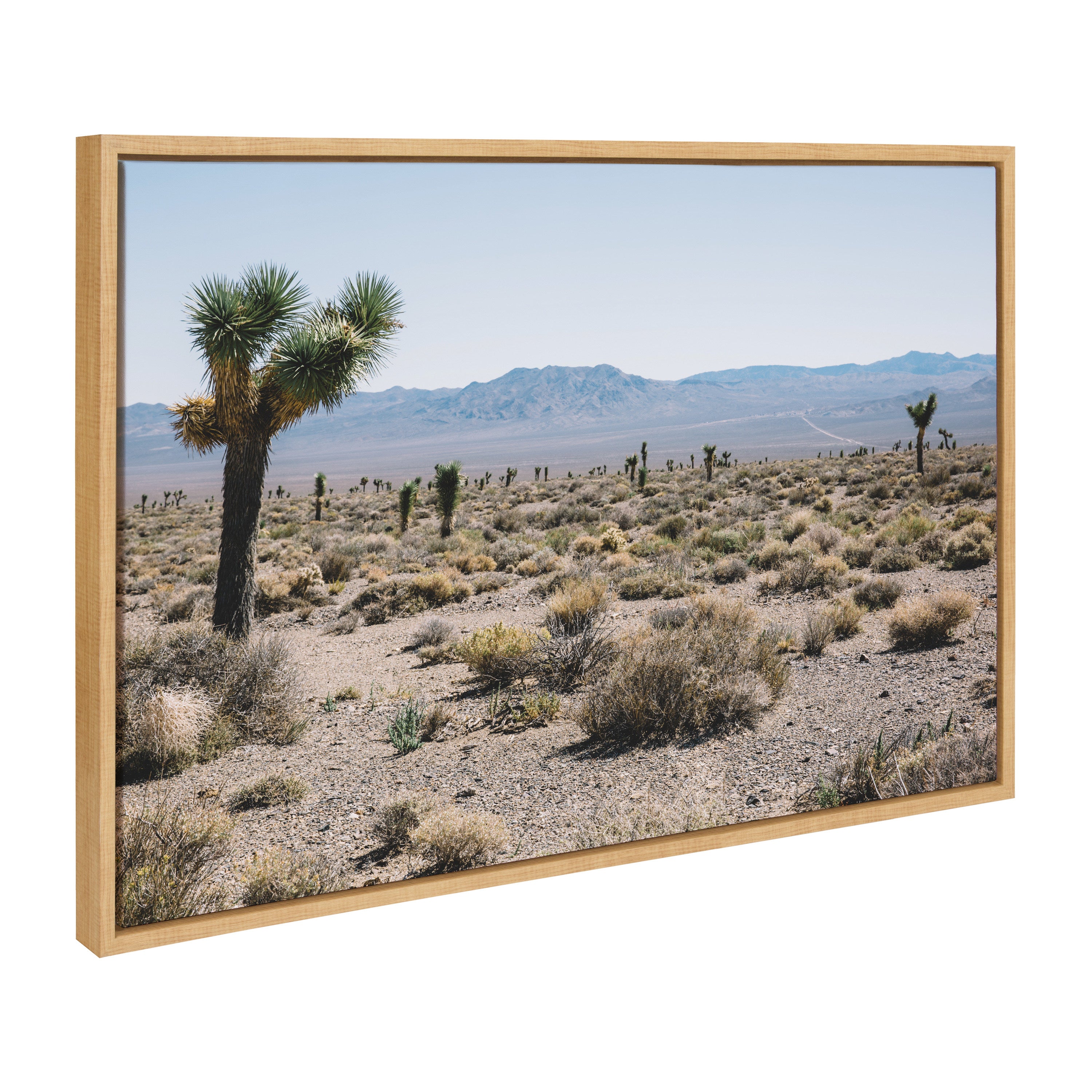 Sylvie Desert Views Framed Canvas by Patricia Hasz of Patricia Rae Photography
