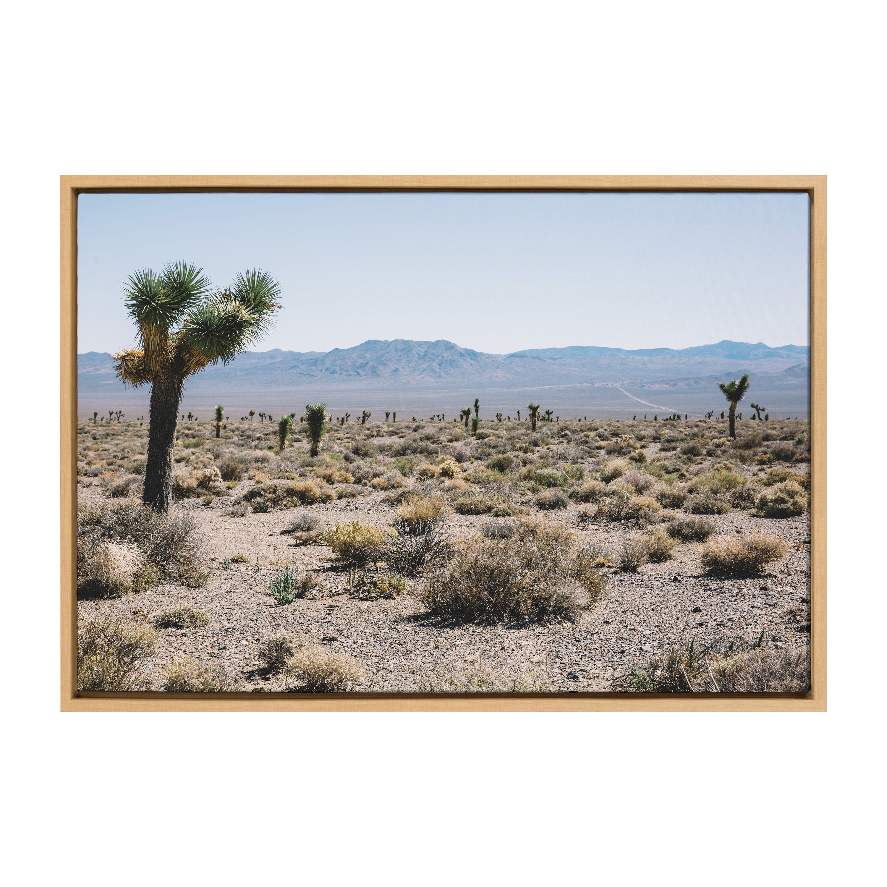 Sylvie Desert Views Framed Canvas by Patricia Hasz of Patricia Rae Photography