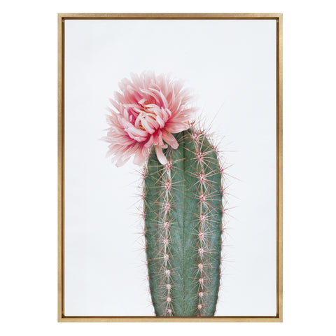 Sylvie Pink Cactus Flower Framed Canvas by Amy Peterson