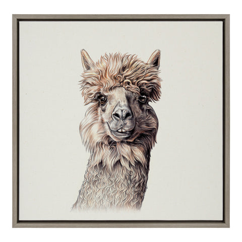 Sylvie Alpaca Framed Canvas by Ron Dunn, Gray 22x22