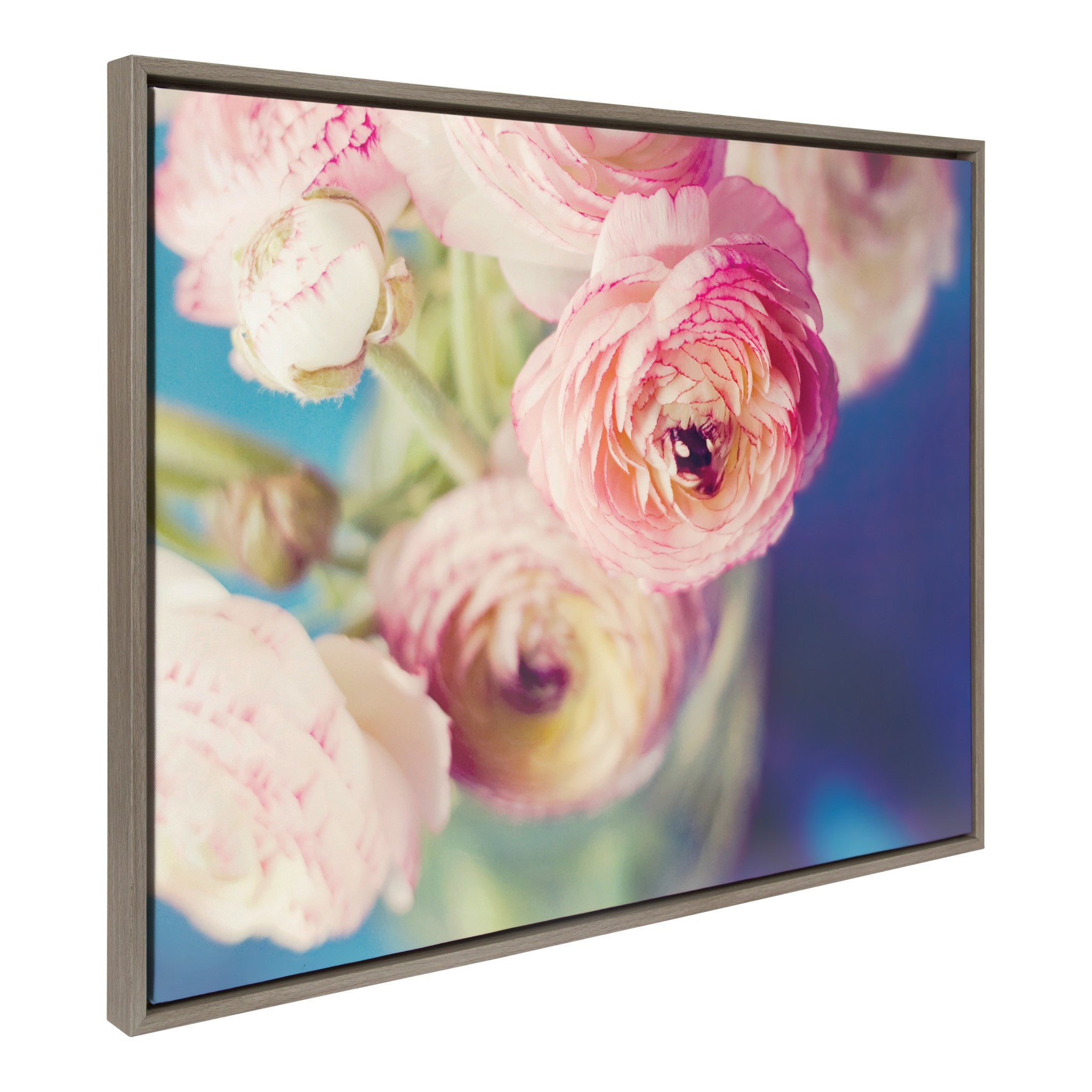 Sylvie Ranunculus in Blue Framed Canvas by Kristybee