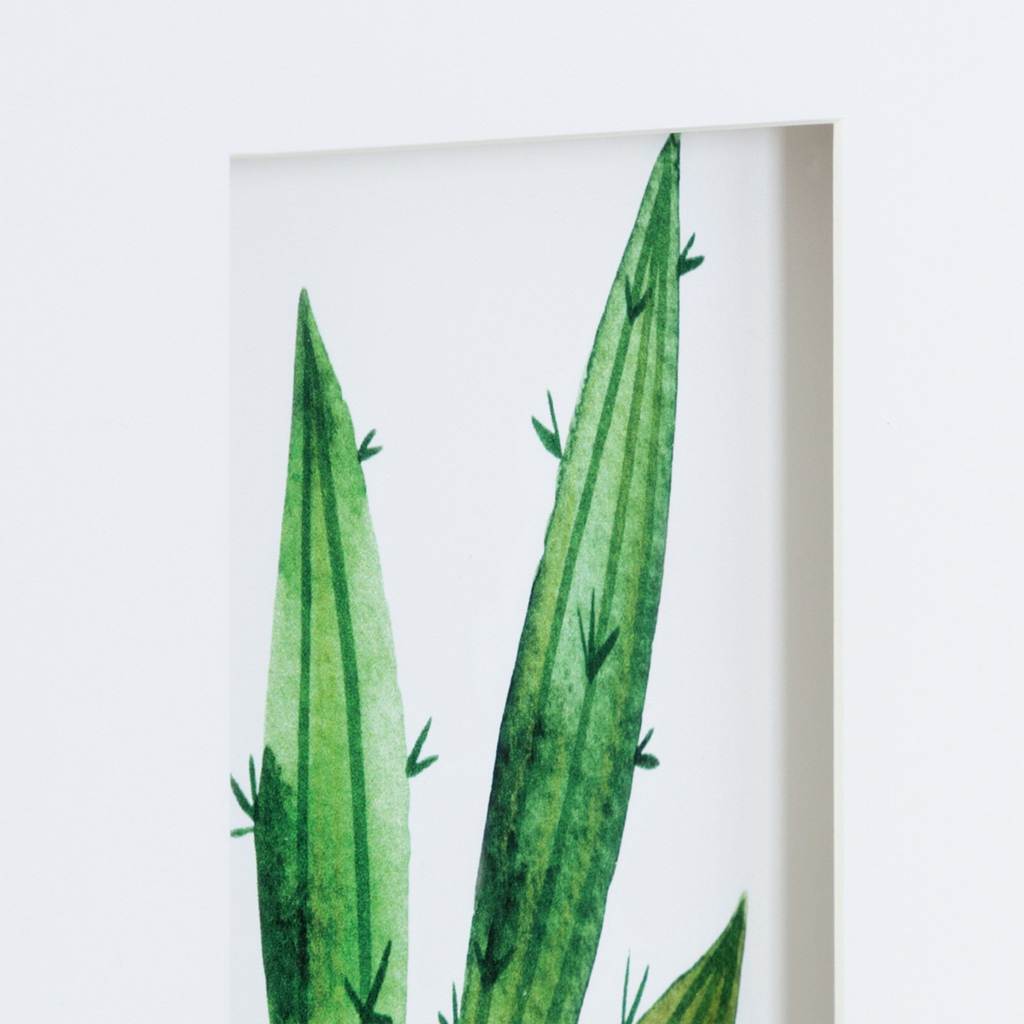 Liev Succulent Framed Print Art Set by Maja Mitrovic