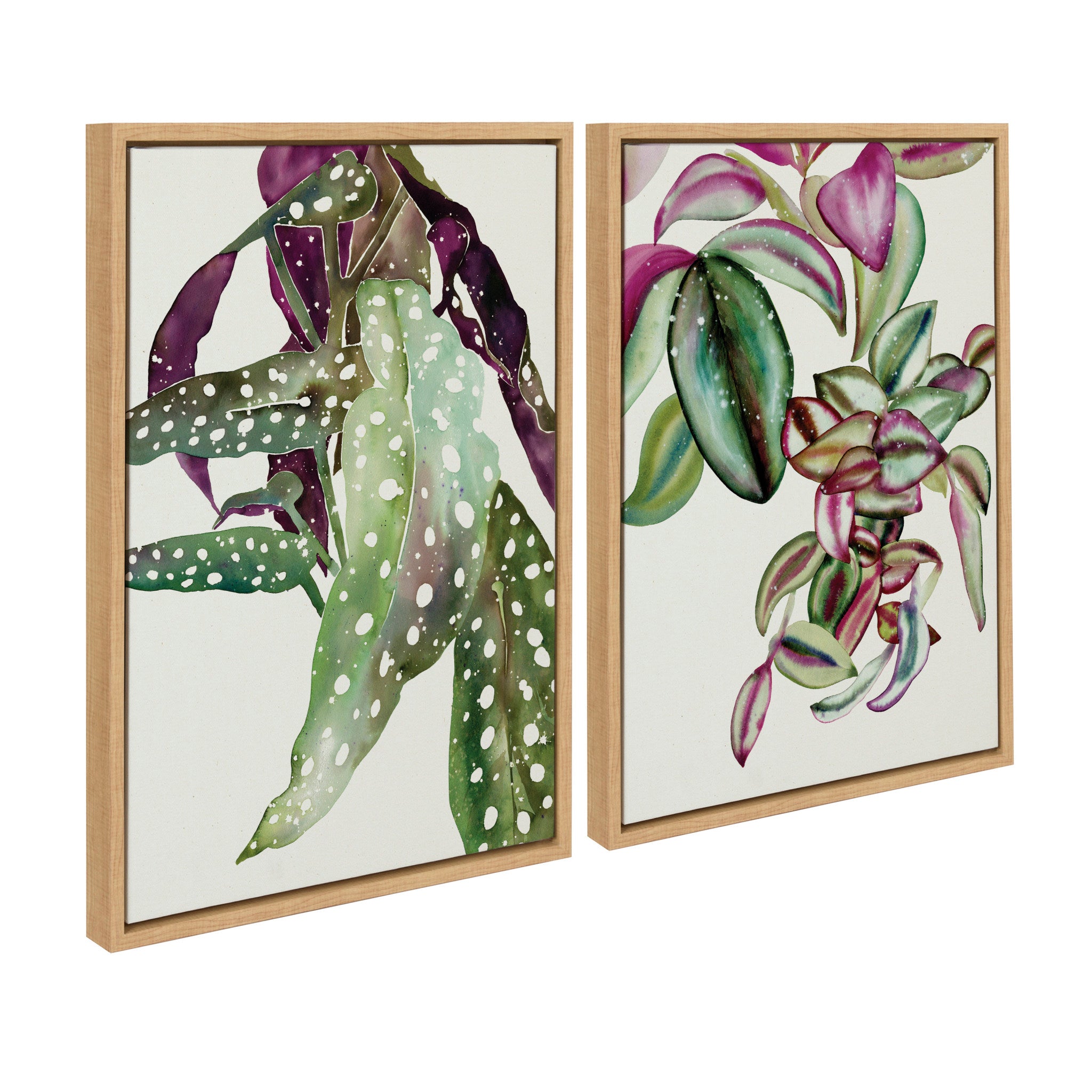 Sylvie Polka Dot Begonia and Tradescantia Framed Canvas by Ingrid Sanchez of CreativeIngrid