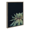Sylvie Succulent Framed Canvas by F2 Images