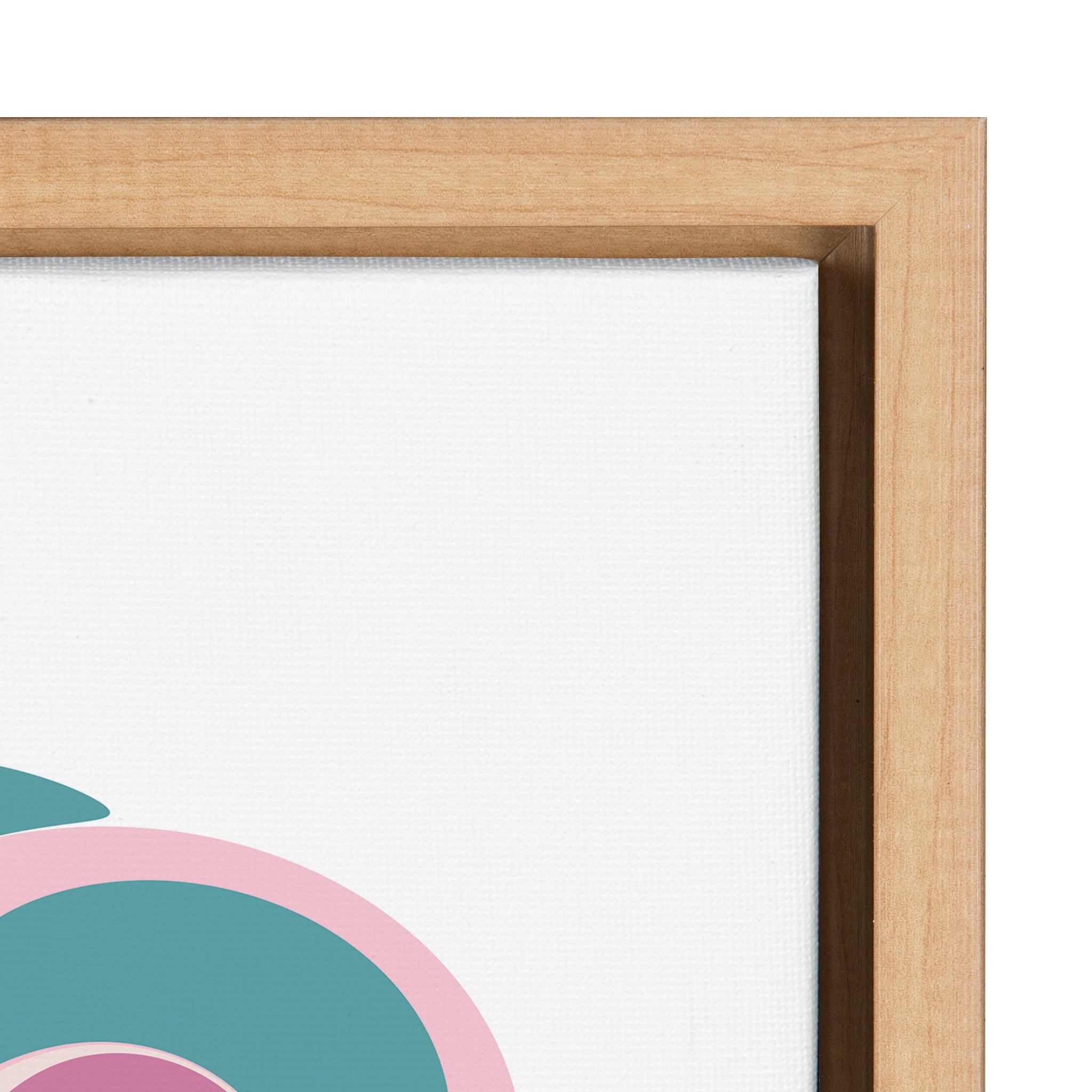 Sylvie Abstract Floral Framed Canvas by Apricot and Birch