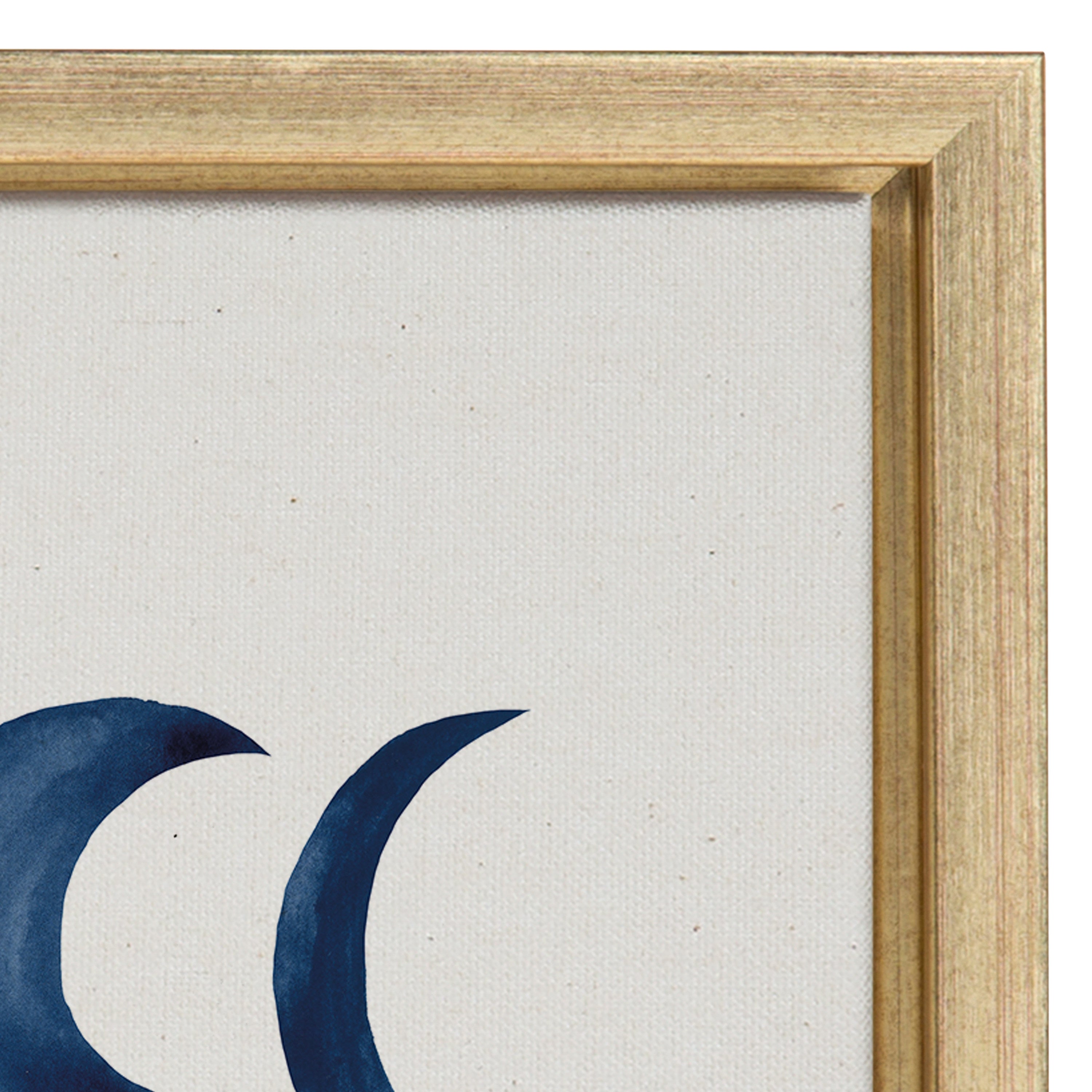 Sylvie Moon Phases Framed Canvas by Teju Reval of SnazzyHues