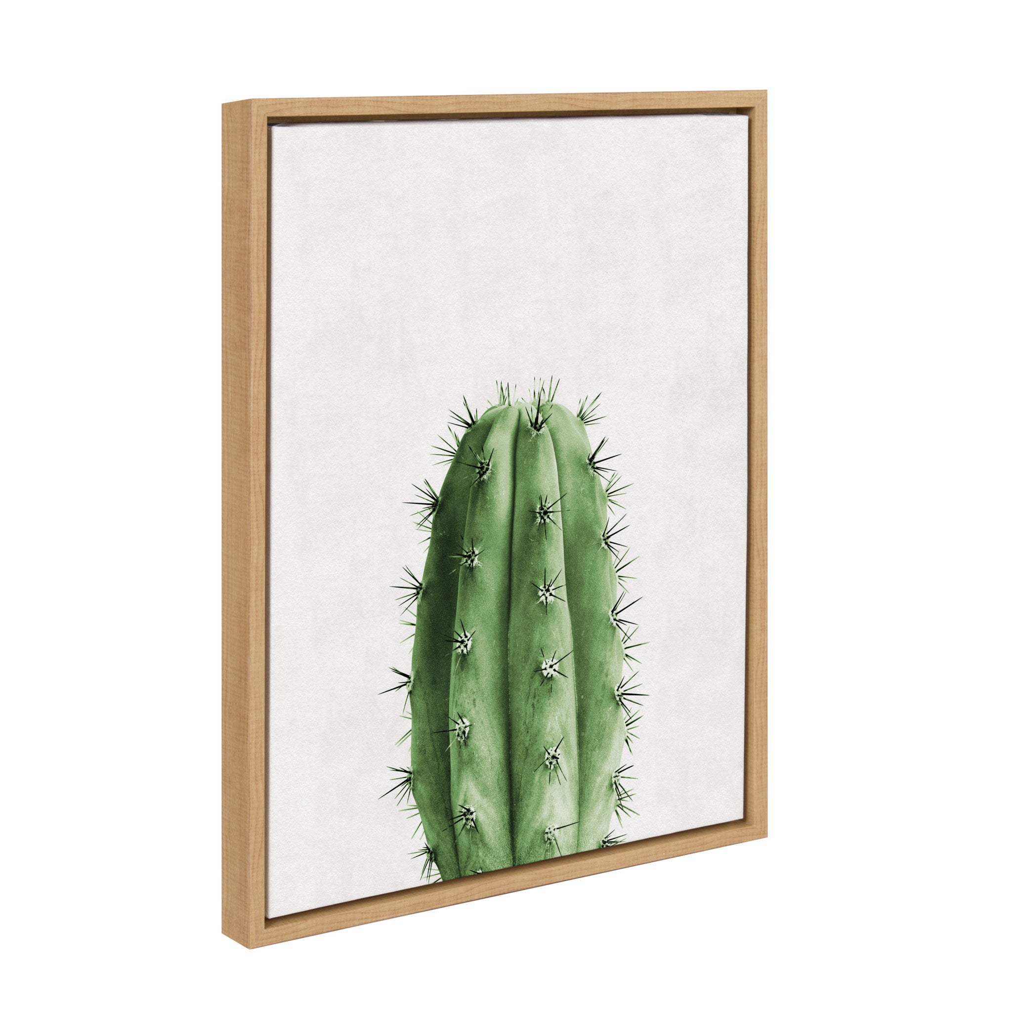 Sylvie Home Cactus Framed Canvas by Simon Te Tai