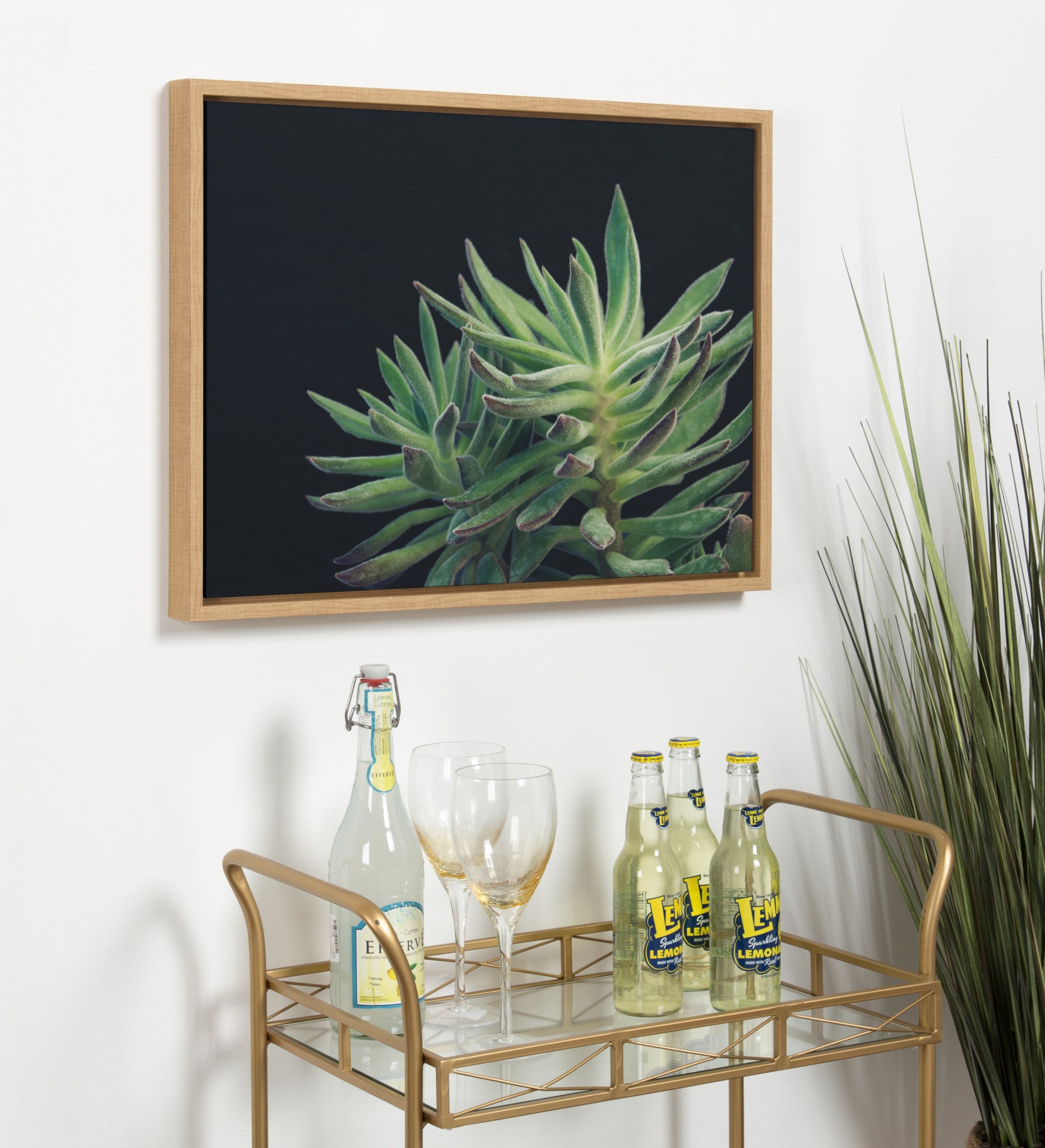 Sylvie Succulent 13 Framed Canvas by F2 Images