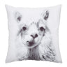 Como Alpaca Print Throw Pillow Cover
