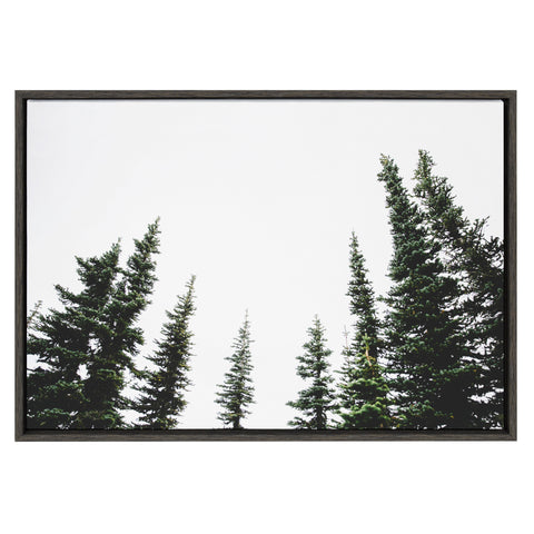 Sylvie Evergreens Framed Canvas by Patricia Hasz of Patricia Rae Photography
