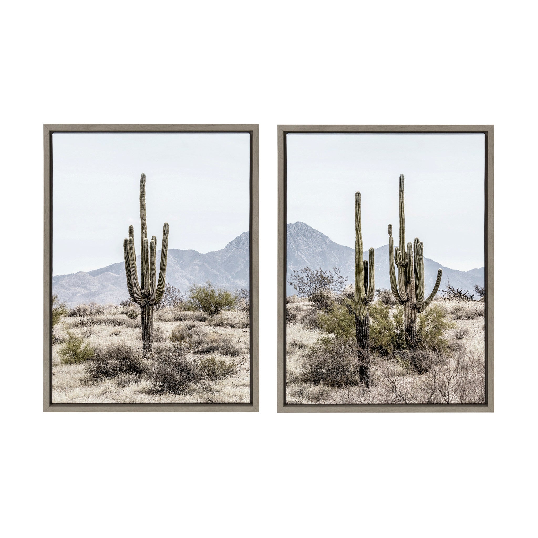Sylvie Tall Saguaro Cacti Desert Mountain Framed Canvas Set by The Creative Bunch Studio
