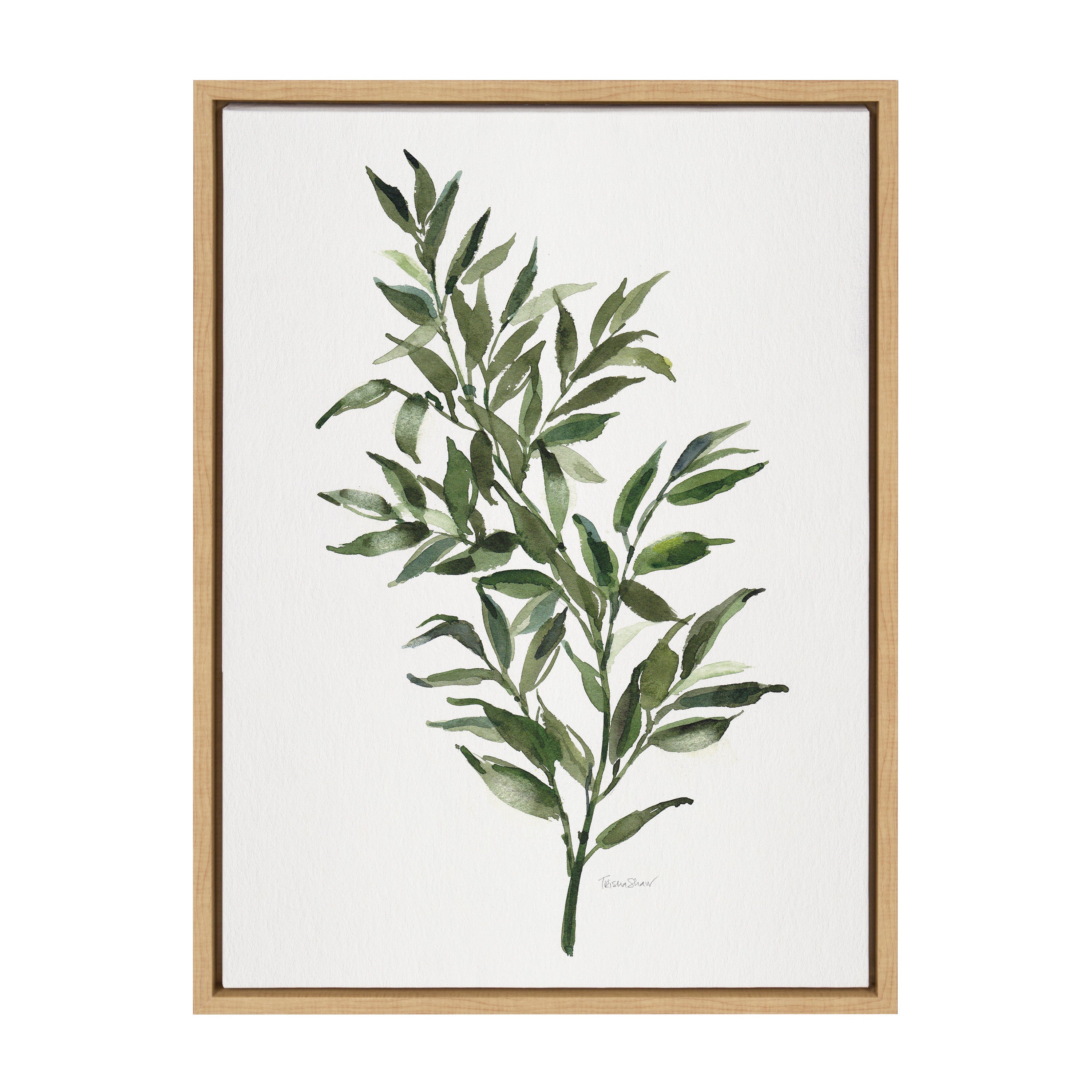 Sylvie Ruscus Framed Canvas by Patricia Shaw