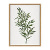 Sylvie Ruscus Framed Canvas by Patricia Shaw