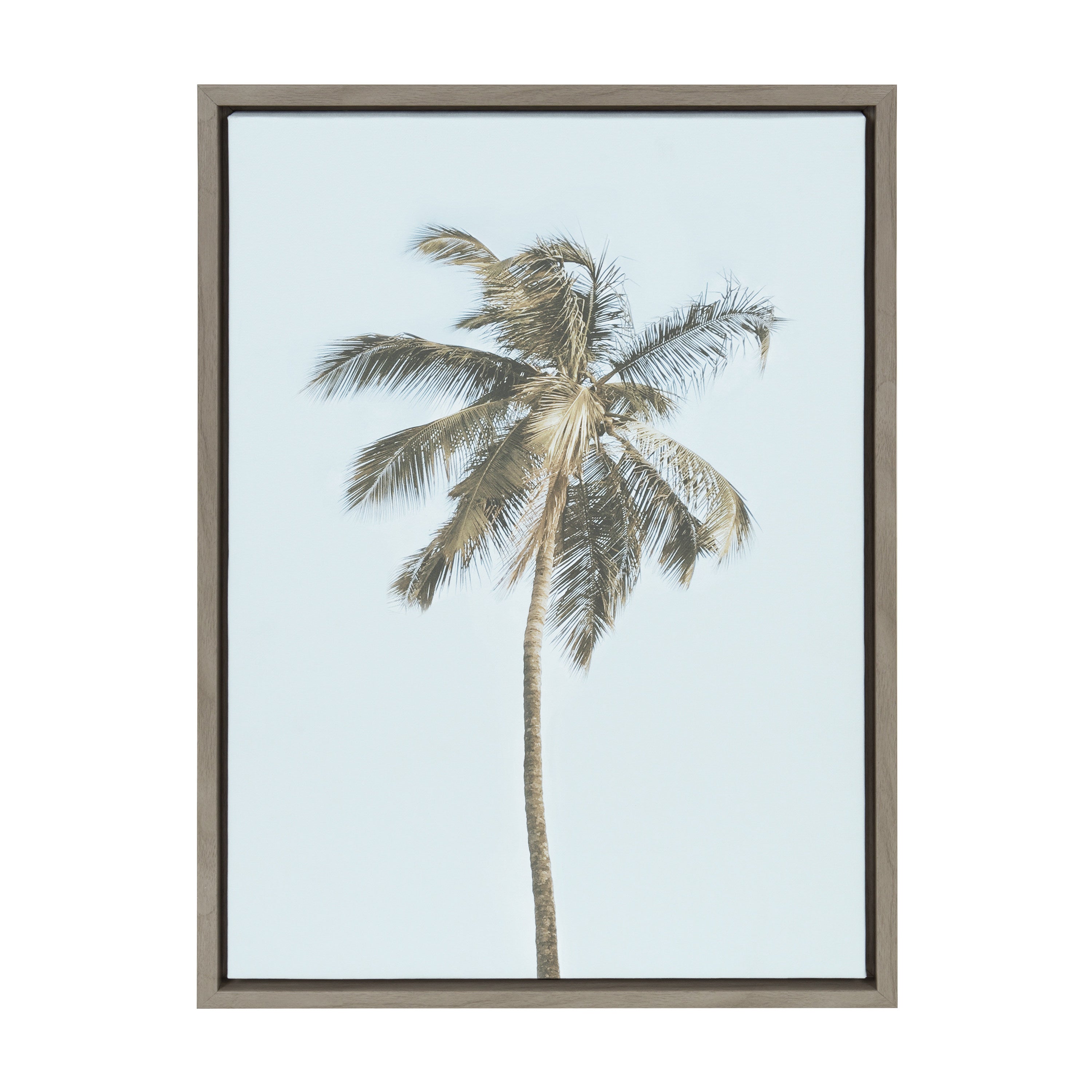 coconut palm tree paintings Sylvie One Coconut Palm Tree Framed Canvas by The Creative Bunch Studio