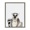 Sylvie Sitting Lemur Tongue Out Framed Canvas by Amy Peterson