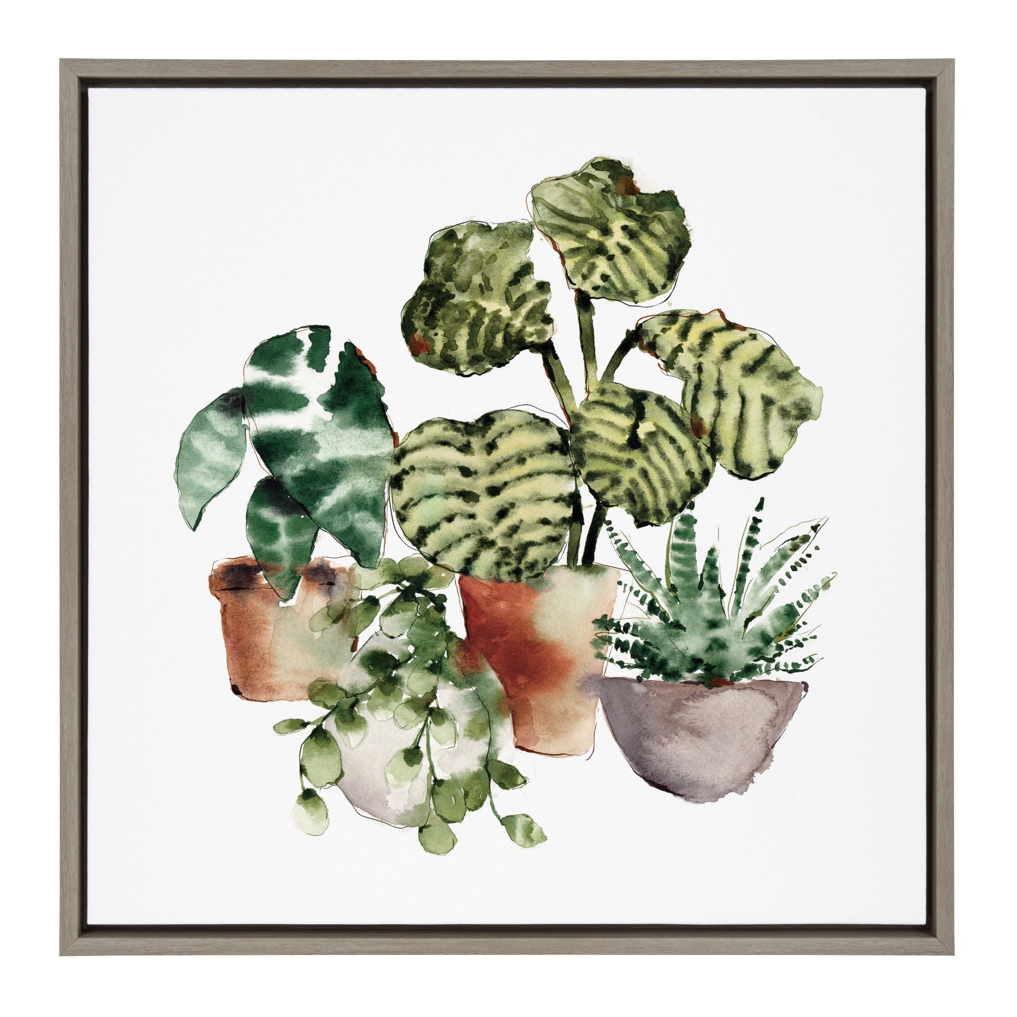 Sylvie Houseplants Framed Canvas by Sara Berrenson