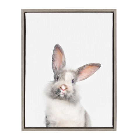 Sylvie Animal Studio Cute Male Rabbit Framed Canvas by Amy Peterson Art Studio