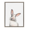 Sylvie Animal Studio Cute Male Rabbit Framed Canvas by Amy Peterson Art Studio