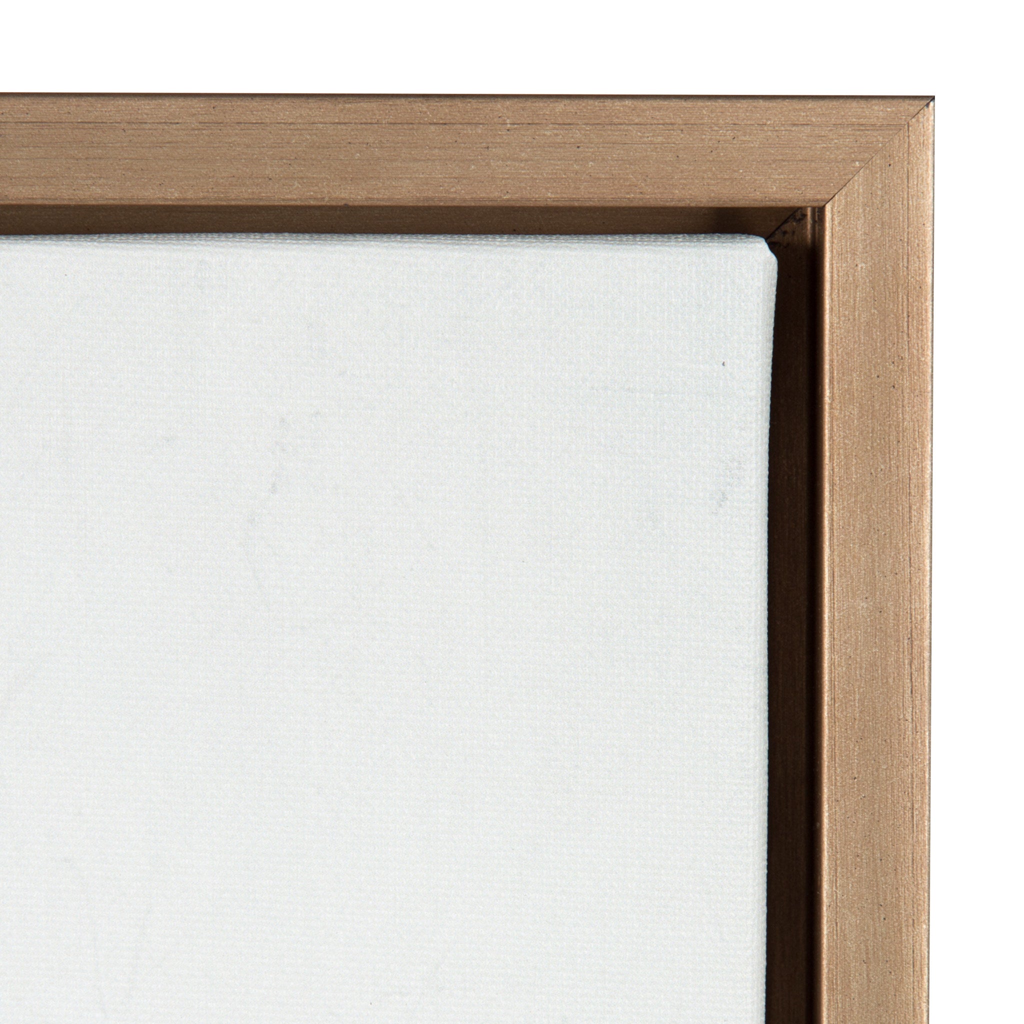 Sylvie Cactus Framed Canvas by F2 Images