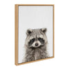 Sylvie Raccoon Color Framed Canvas by Simon Te of Tai Prints