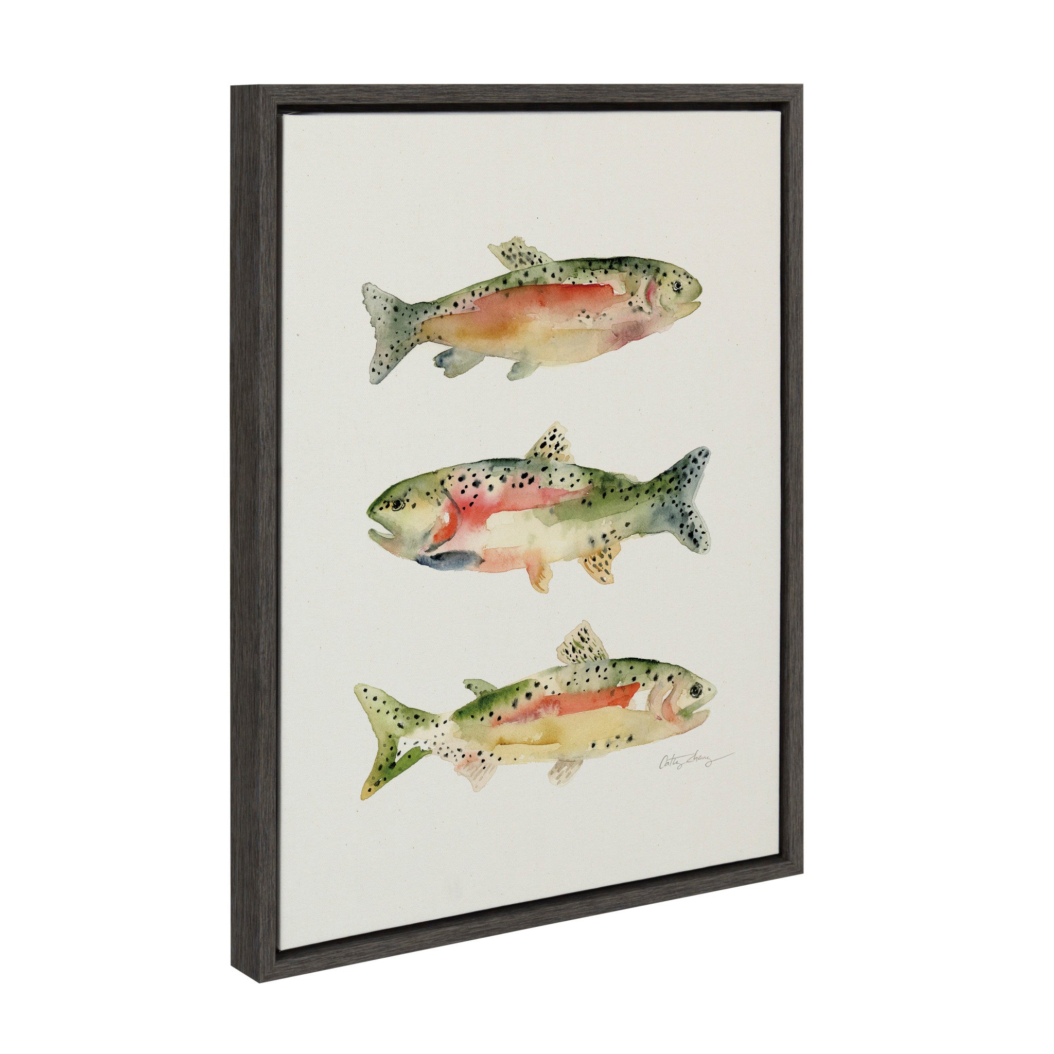 Sylvie Rainbow Trout Framed Canvas by Cathy Zhang
