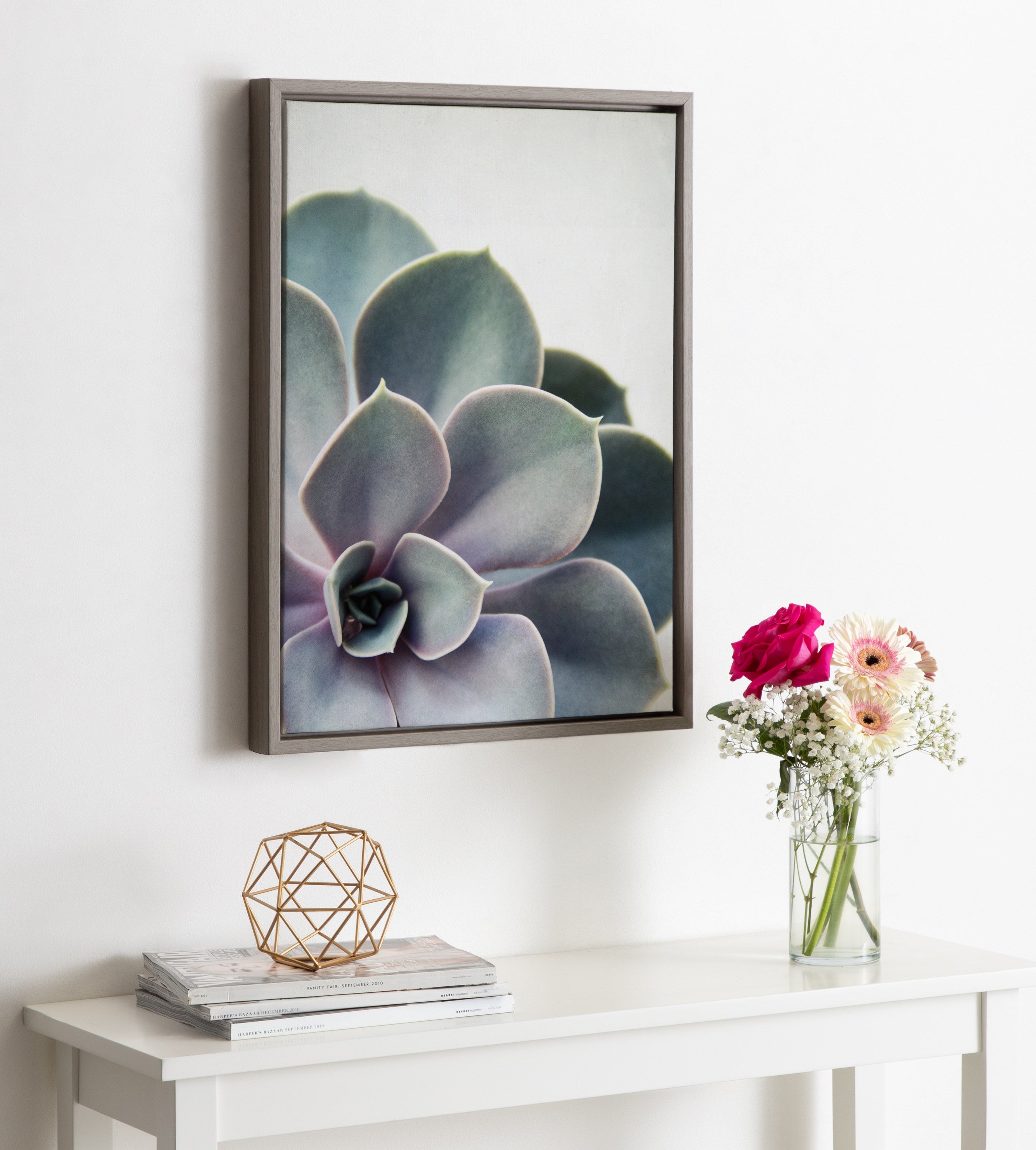 Sylvie Succulent 5 Framed Canvas by F2 Images