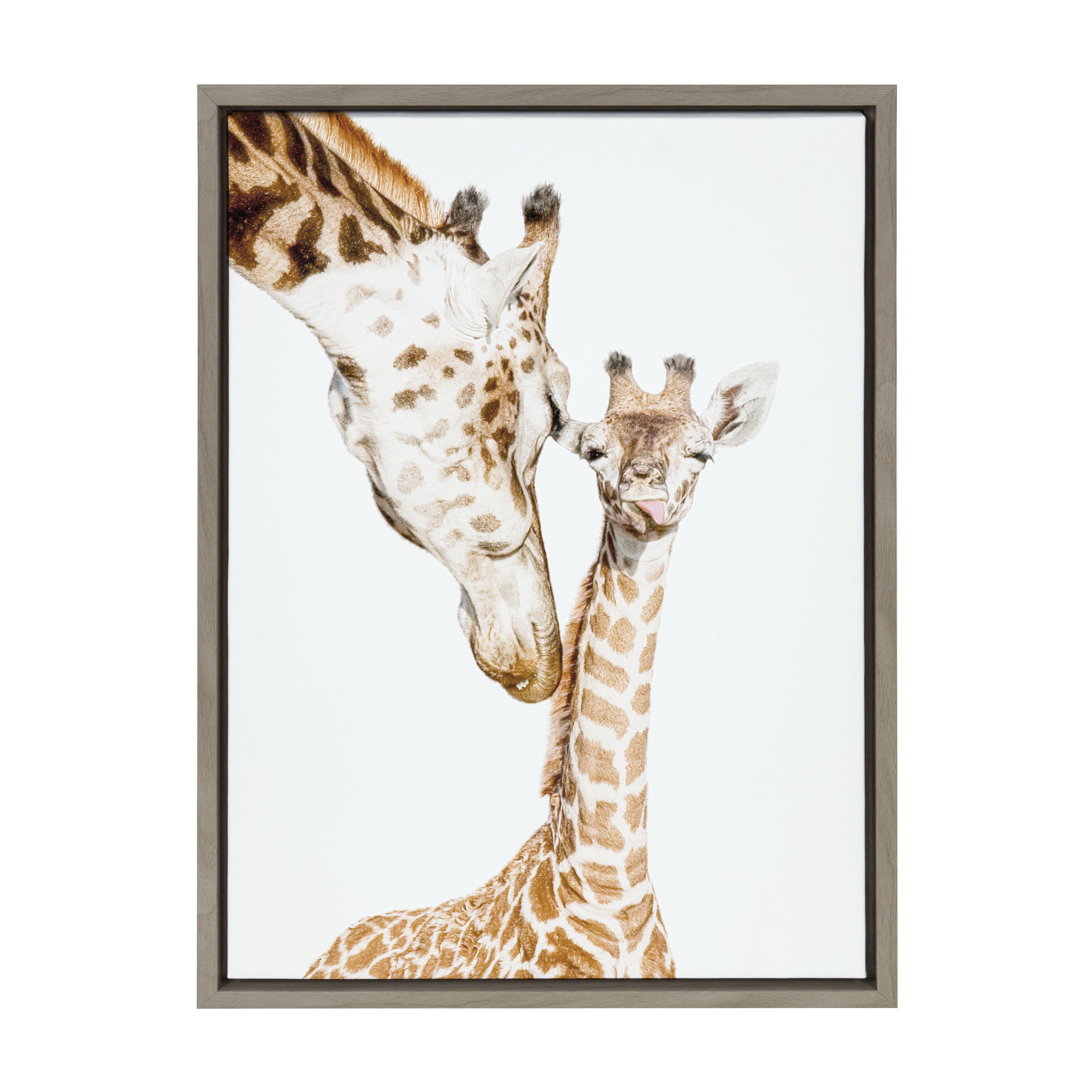 Sylvie Mother and Baby Giraffe Portrait Framed Canvas by Amy Peterson Art Studio