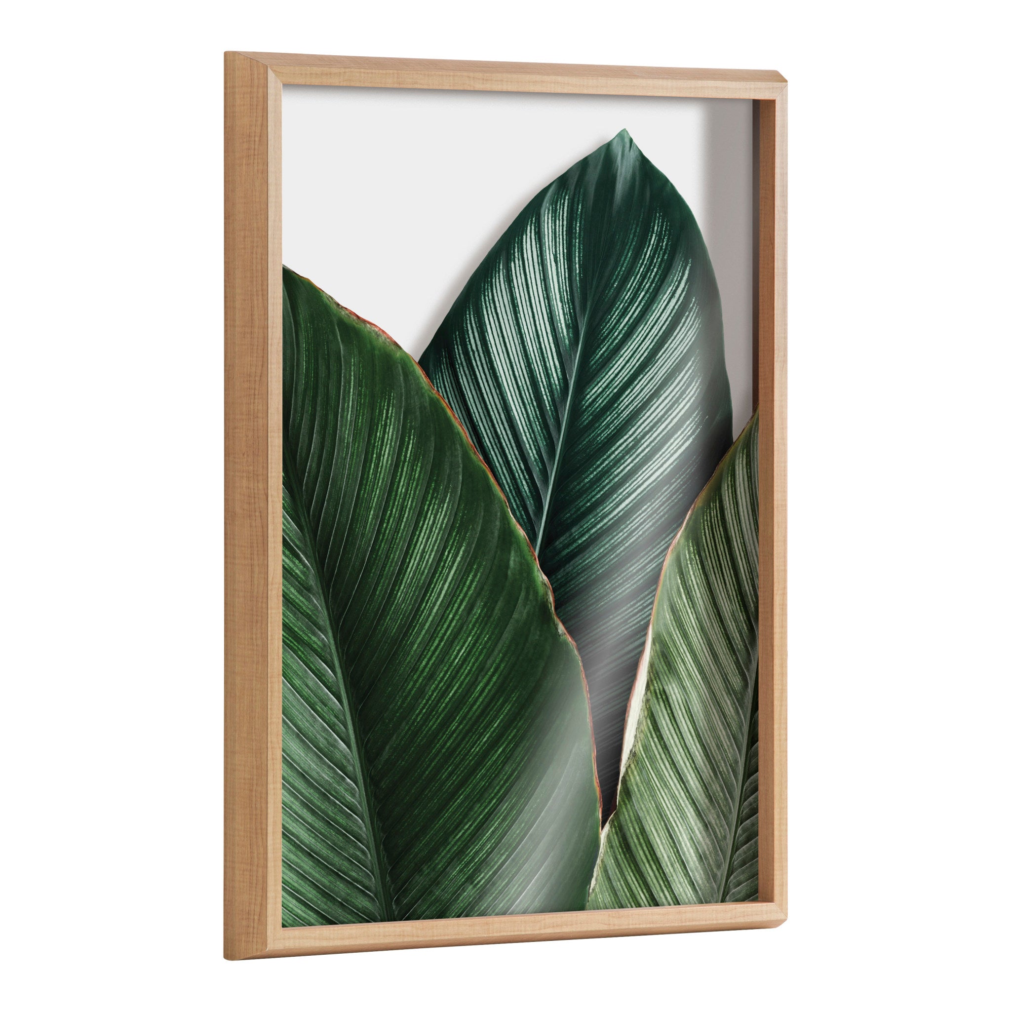 Blake Tropical Palm Leaves Framed Printed Glass by Amy Peterson Art Studio