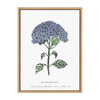 Sylvie Blooming Hydrangea Framed Canvas by Statement Goods