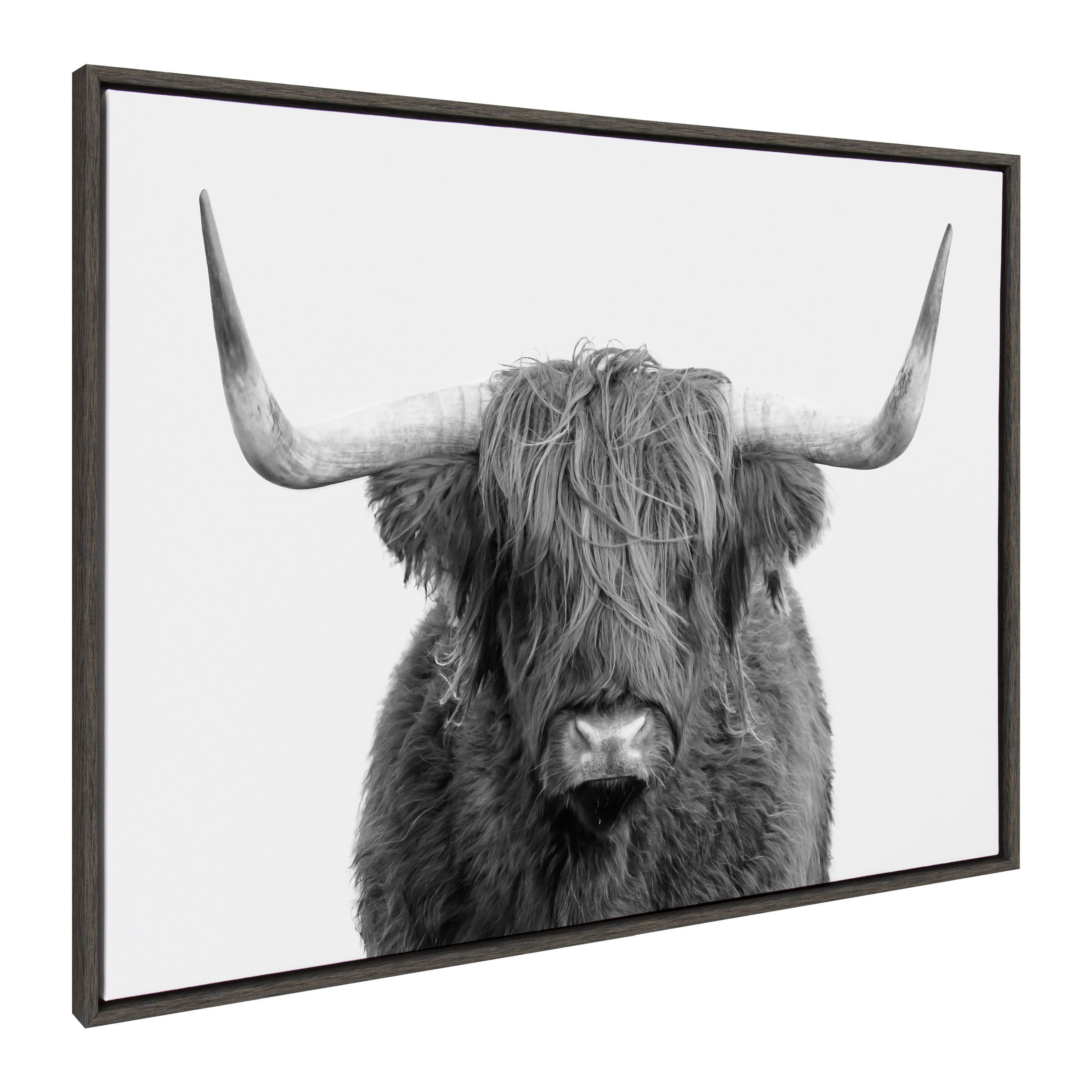 Sylvie Highland Cow Portrait Framed Canvas by Amy Peterson Art Studio