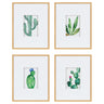 Liev Succulent Framed Print Art Set by Maja Mitrovic