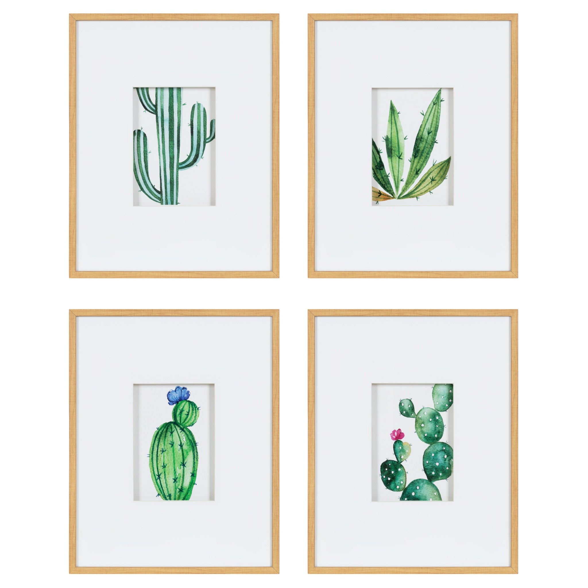 Liev Succulent Framed Print Art Set by Maja Mitrovic
