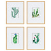 Liev Succulent Framed Print Art Set by Maja Mitrovic