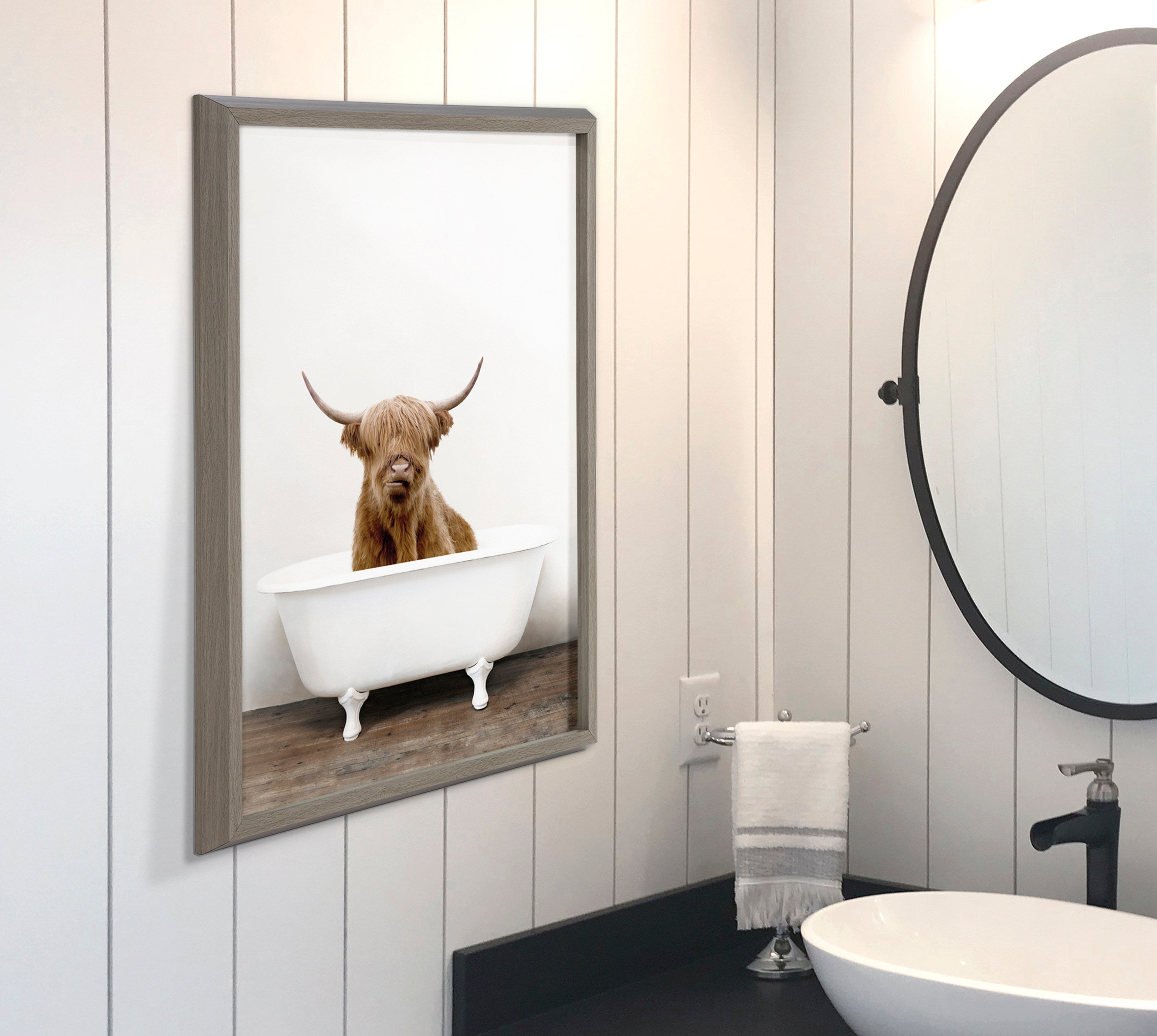 Blake Highland Cow in Tub Color Framed Printed Glass by Amy Peterson Art Studio