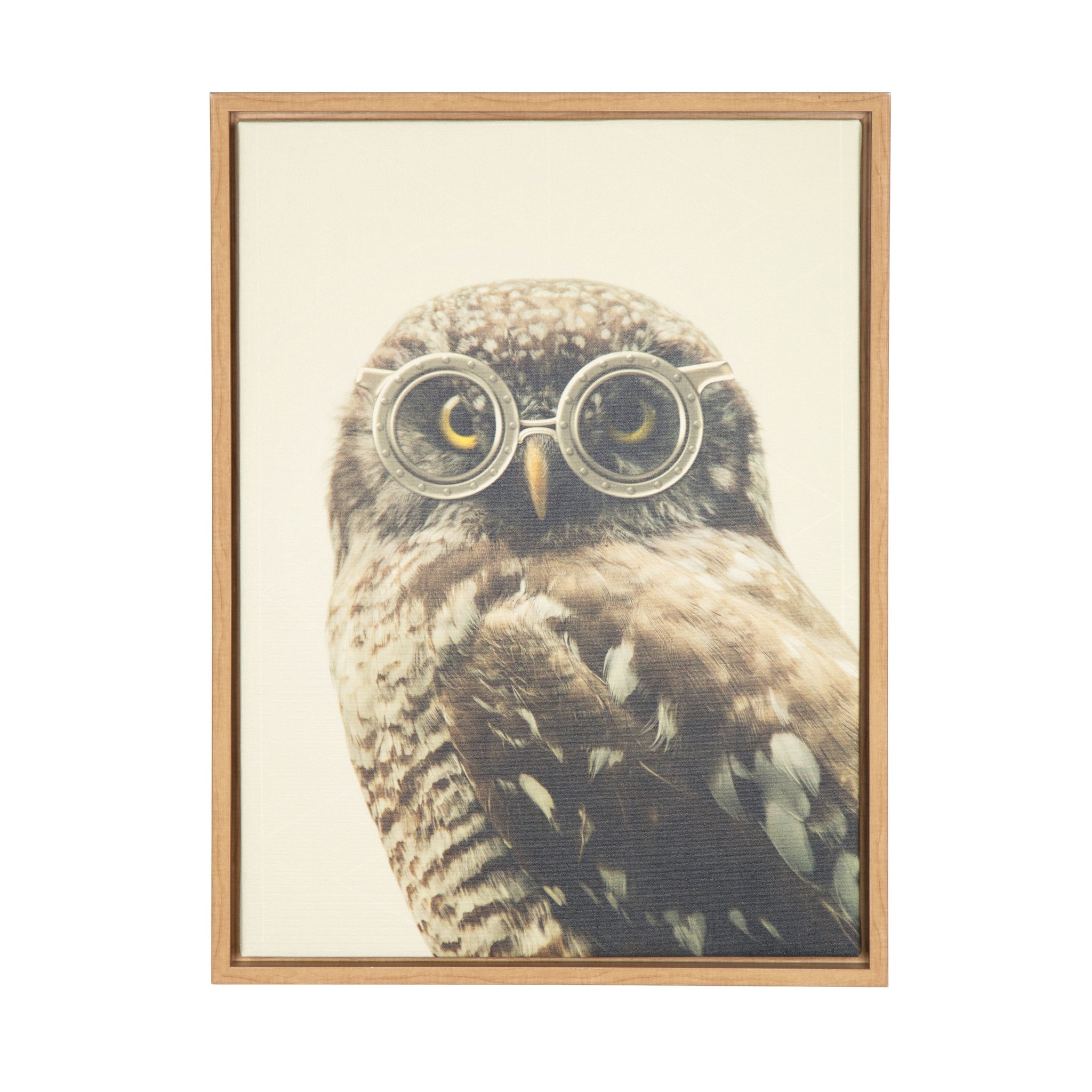 Sylvie Owl Wearing Glasses Framed Canvas by F2 Images