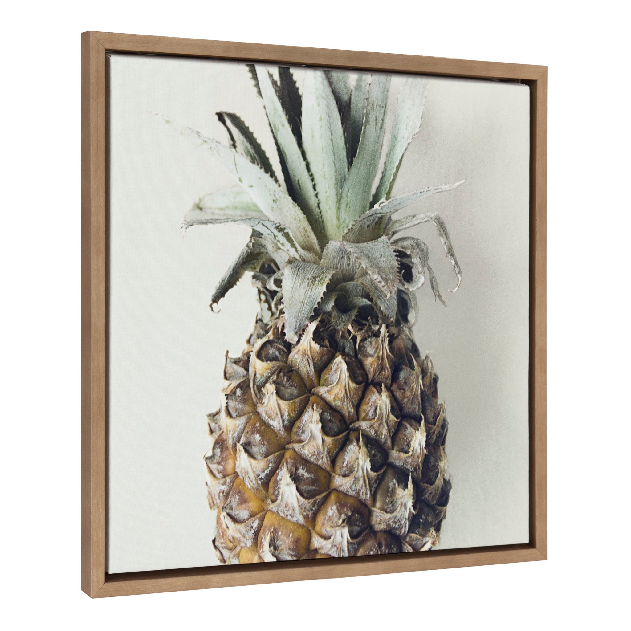 Sylvie Solo Pineapple Framed Canvas by F2 Images