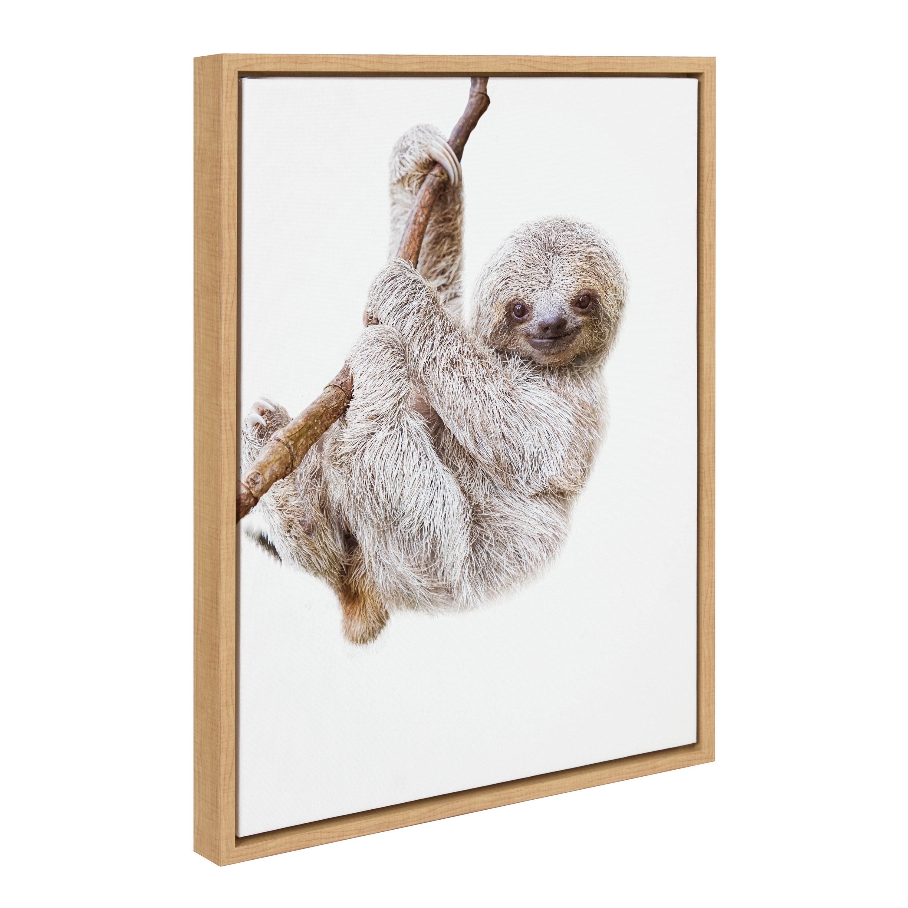 Sylvie Baby Sloth Hanging Around Framed Canvas by Amy Peterson Art Studio