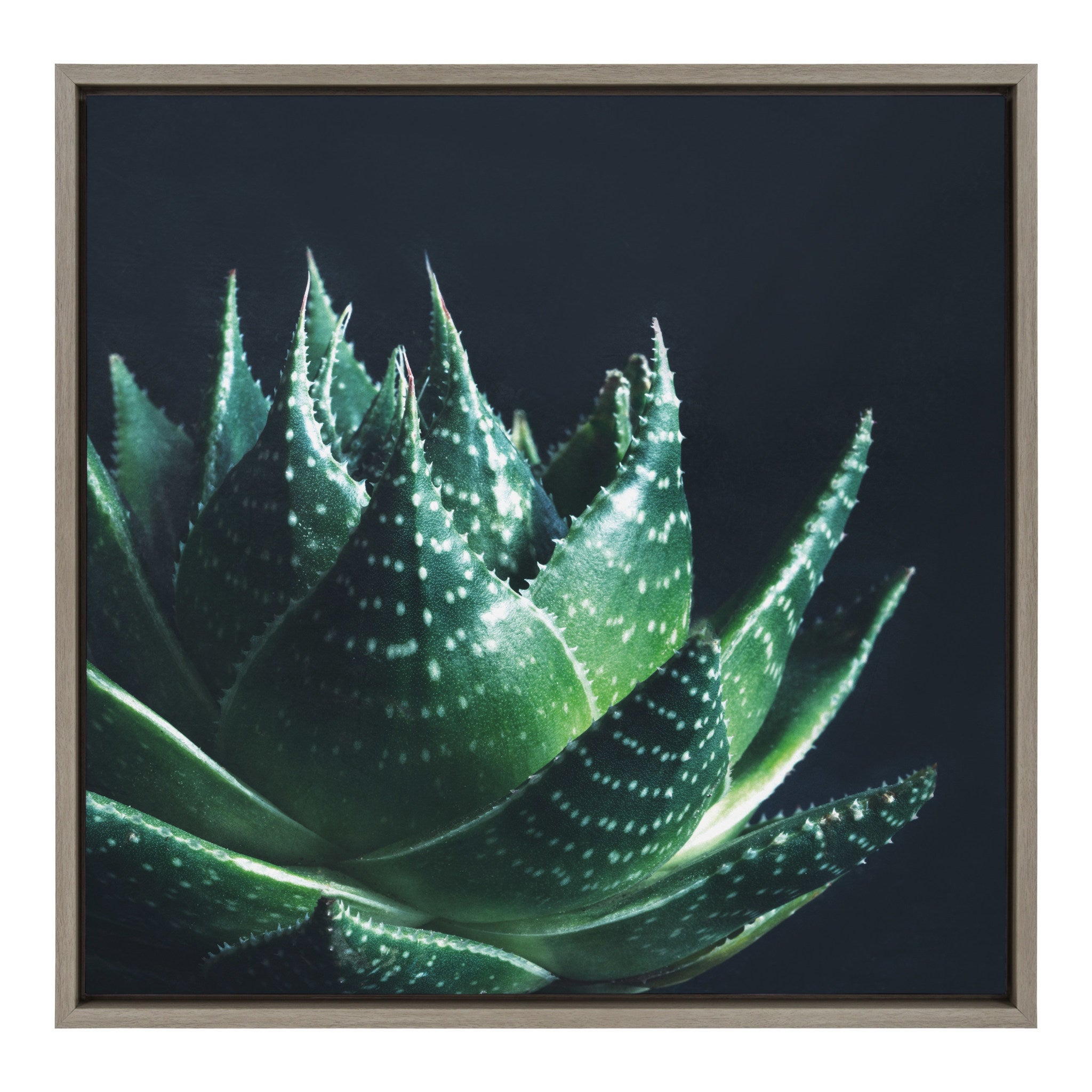 Sylvie Zen Framed Canvas by F2Images