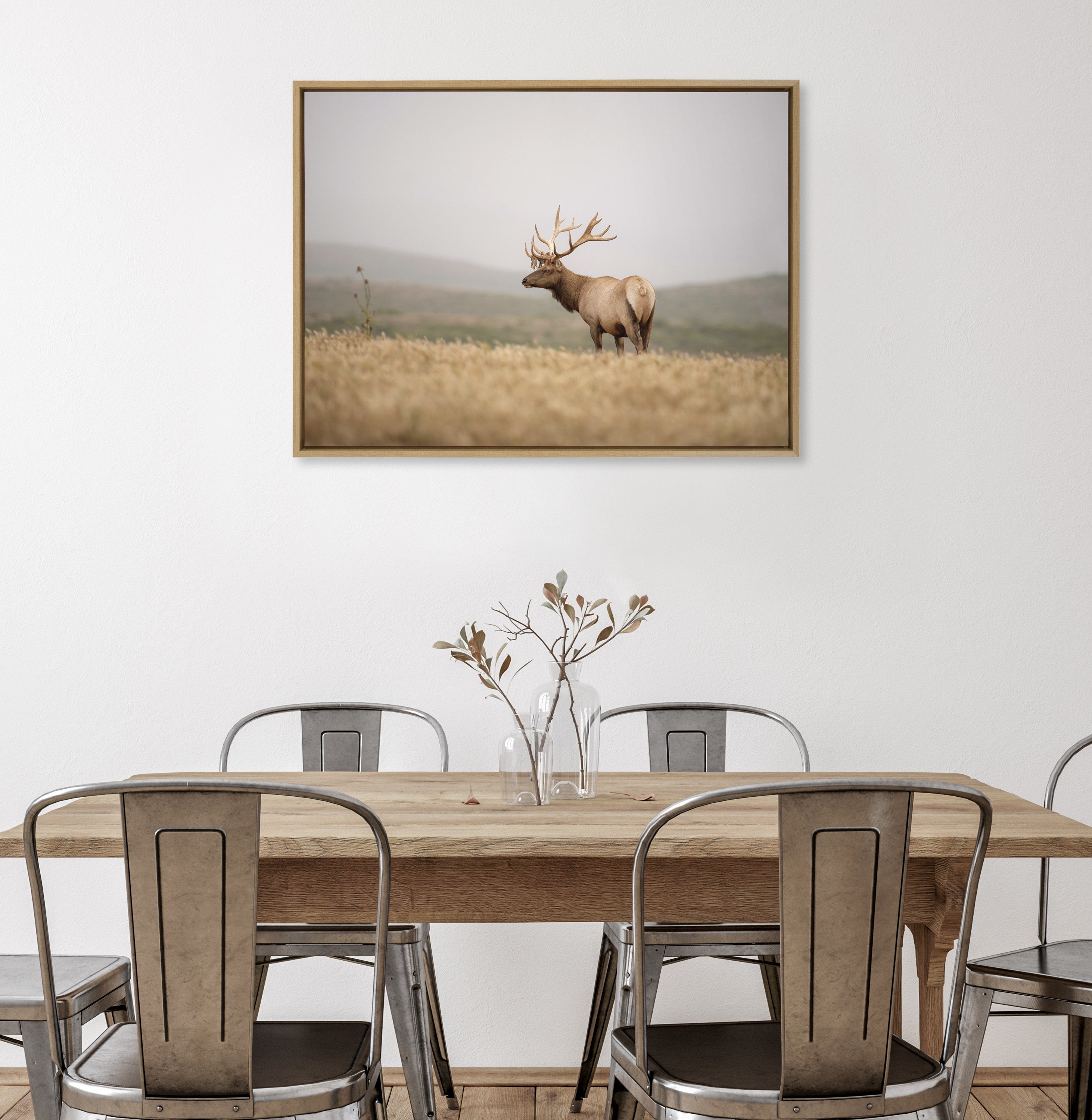 Sylvie Tule Elk No 3 Framed Canvas by Crystal Lynn Collins