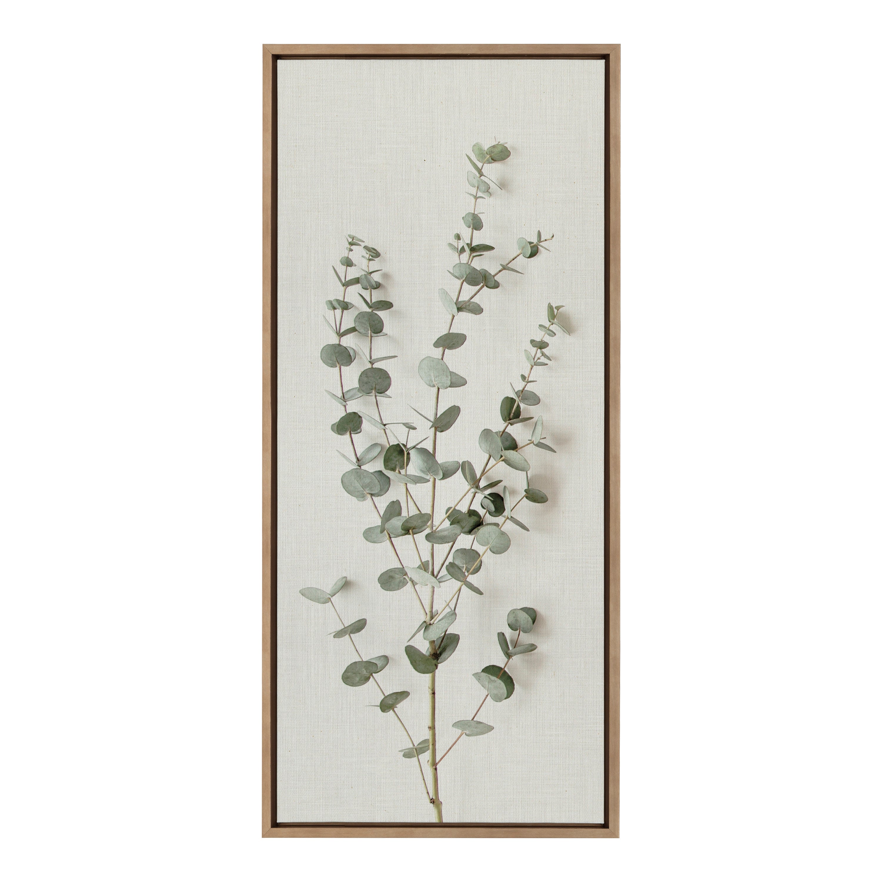 Sylvie Eucalyptus Botanical I Framed Canvas by The Creative Bunch Studio