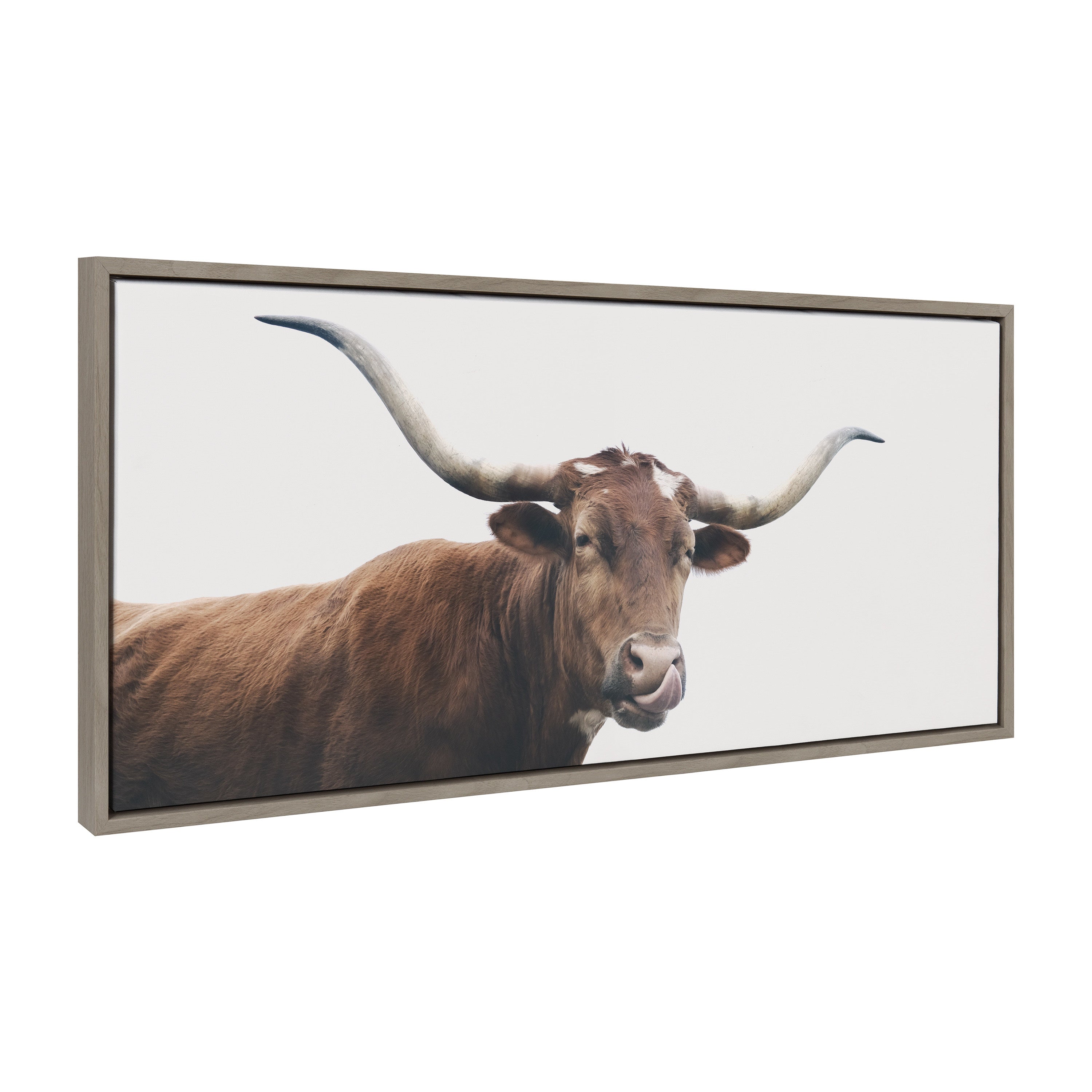 Sylvie Texas Longhorn Cow Lick Framed Canvas by The Creative Bunch Studio