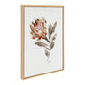 Sylvie Wild King Protea Framed Canvas by Sara Berrenson