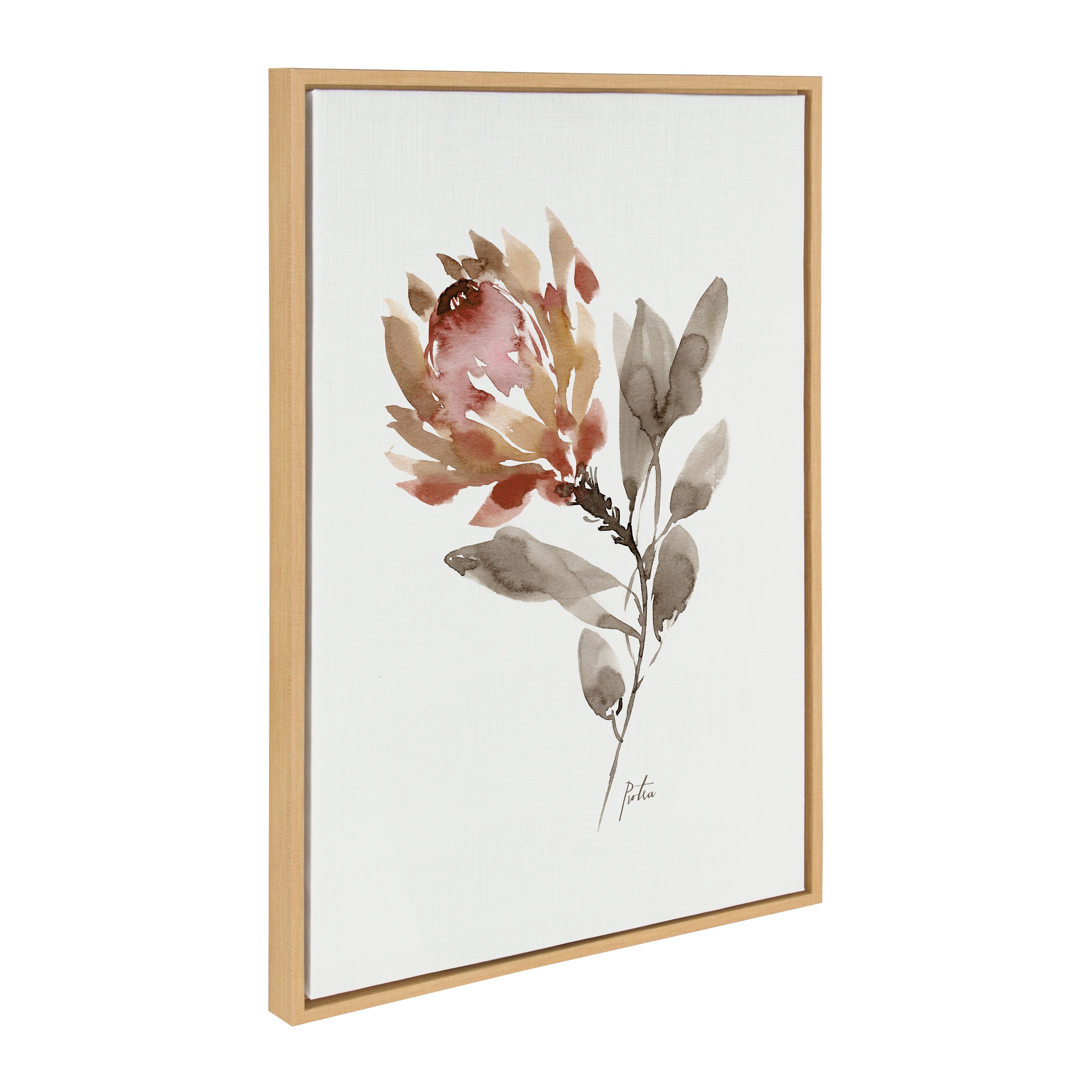 Sylvie Wild King Protea Framed Canvas by Sara Berrenson
