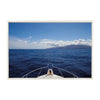 Sylvie Sailing Framed Canvas By Matthew Meyer